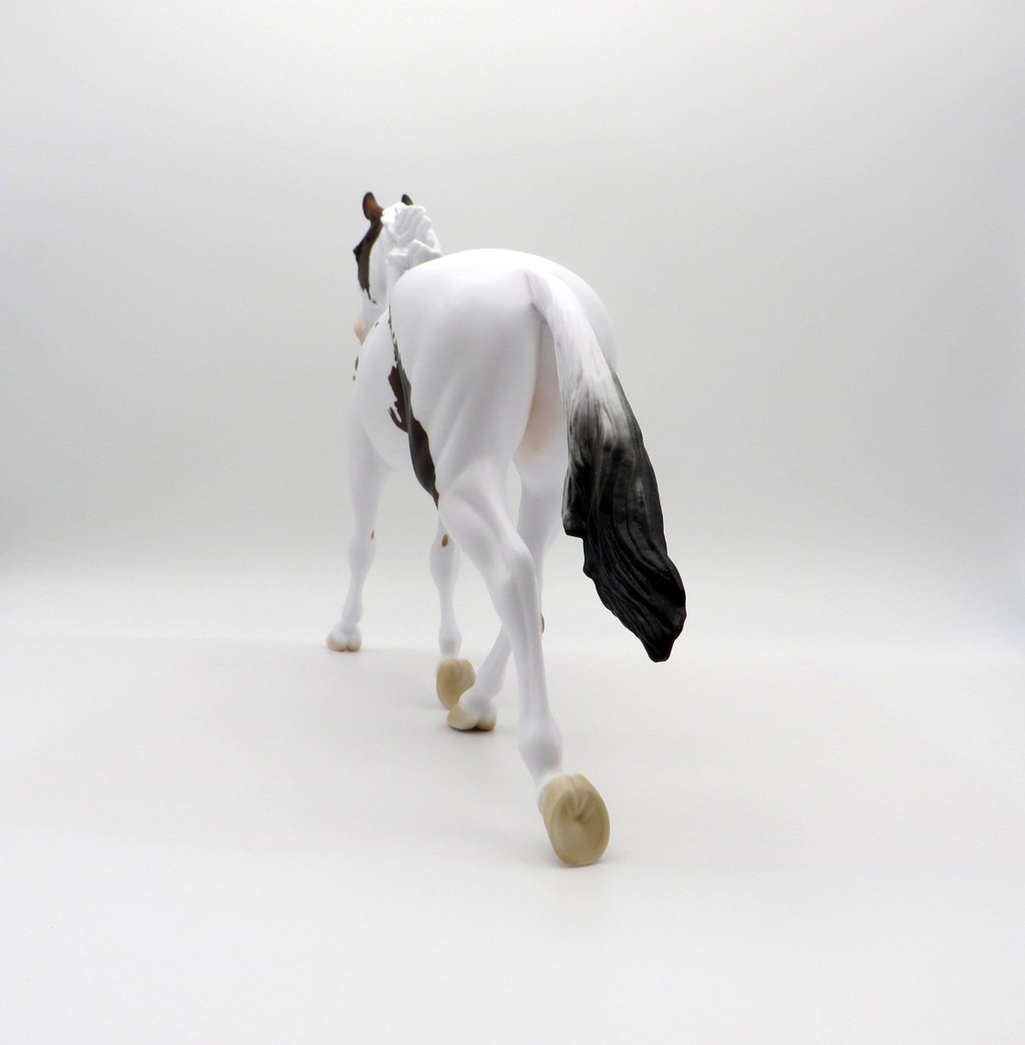 Southern Chick LE-5 Bay Paint Palouse 3/26/21