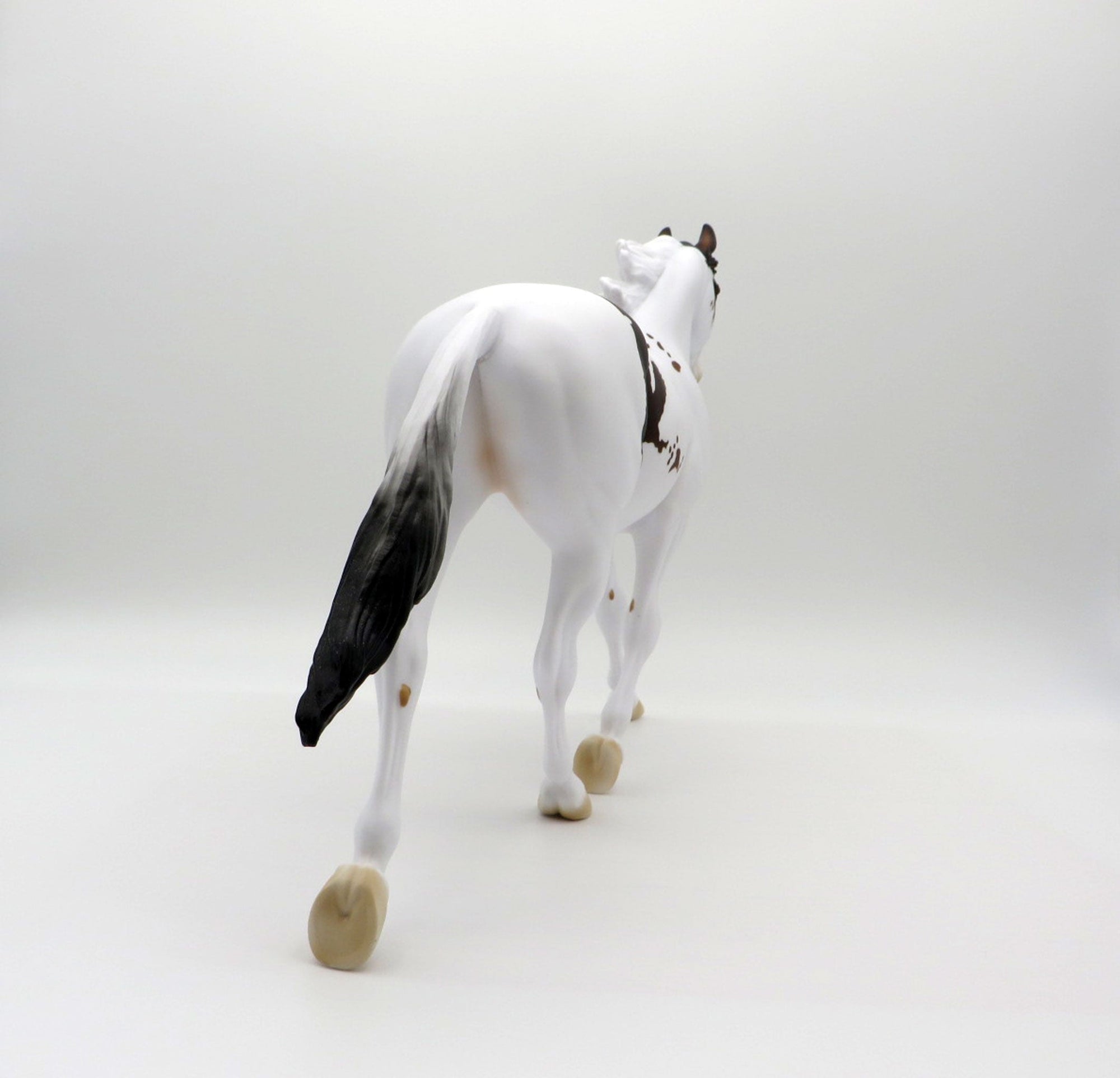 Southern Chick LE-5 Bay Paint Palouse 3/26/21