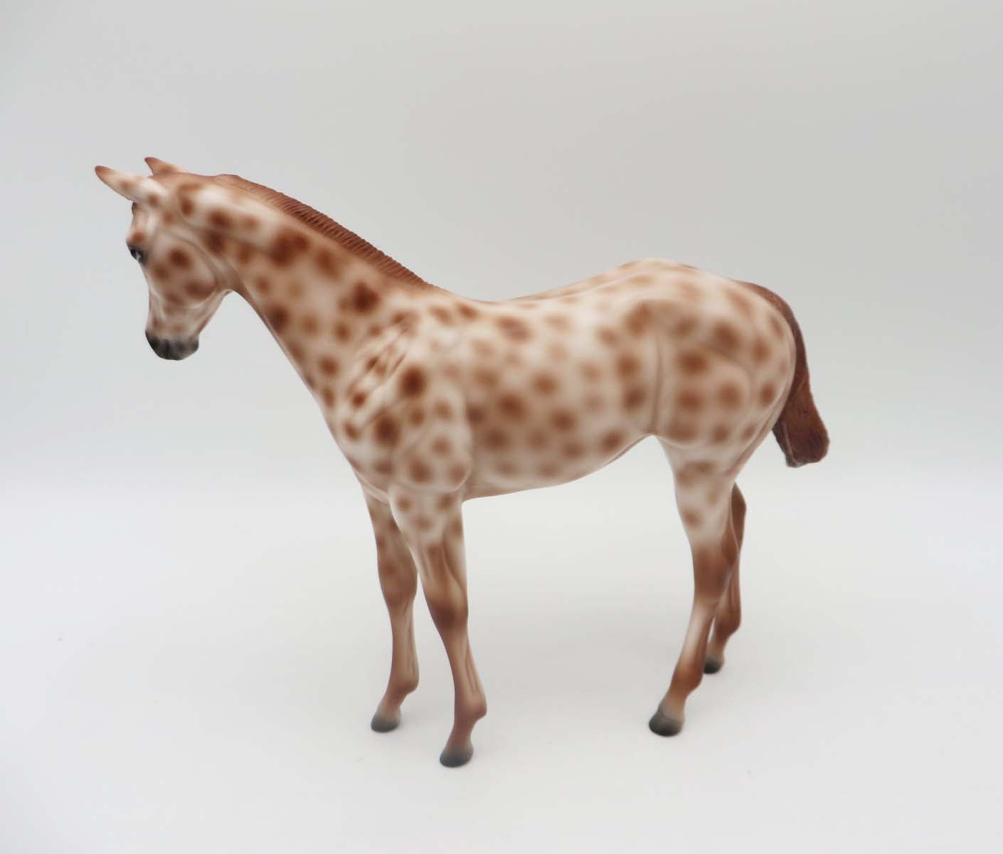 Sparrow -OOAK Chestnut Appaloosa Weanling By Ashley- SHCF23