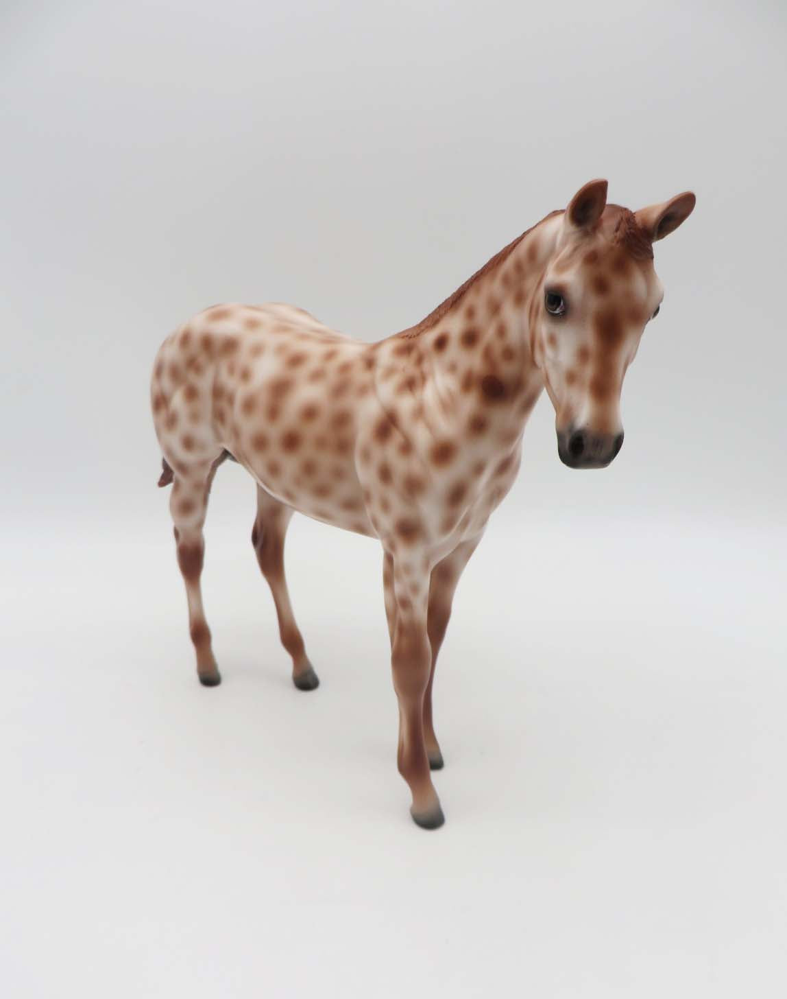 Sparrow -OOAK Chestnut Appaloosa Weanling By Ashley- SHCF23