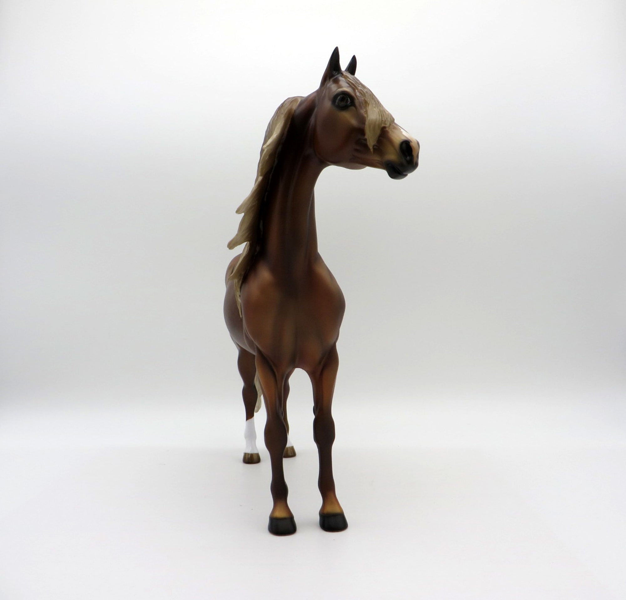 Spielberg-OOAK Chestnut Morgan Painted By Audrey Dixon EQ 21