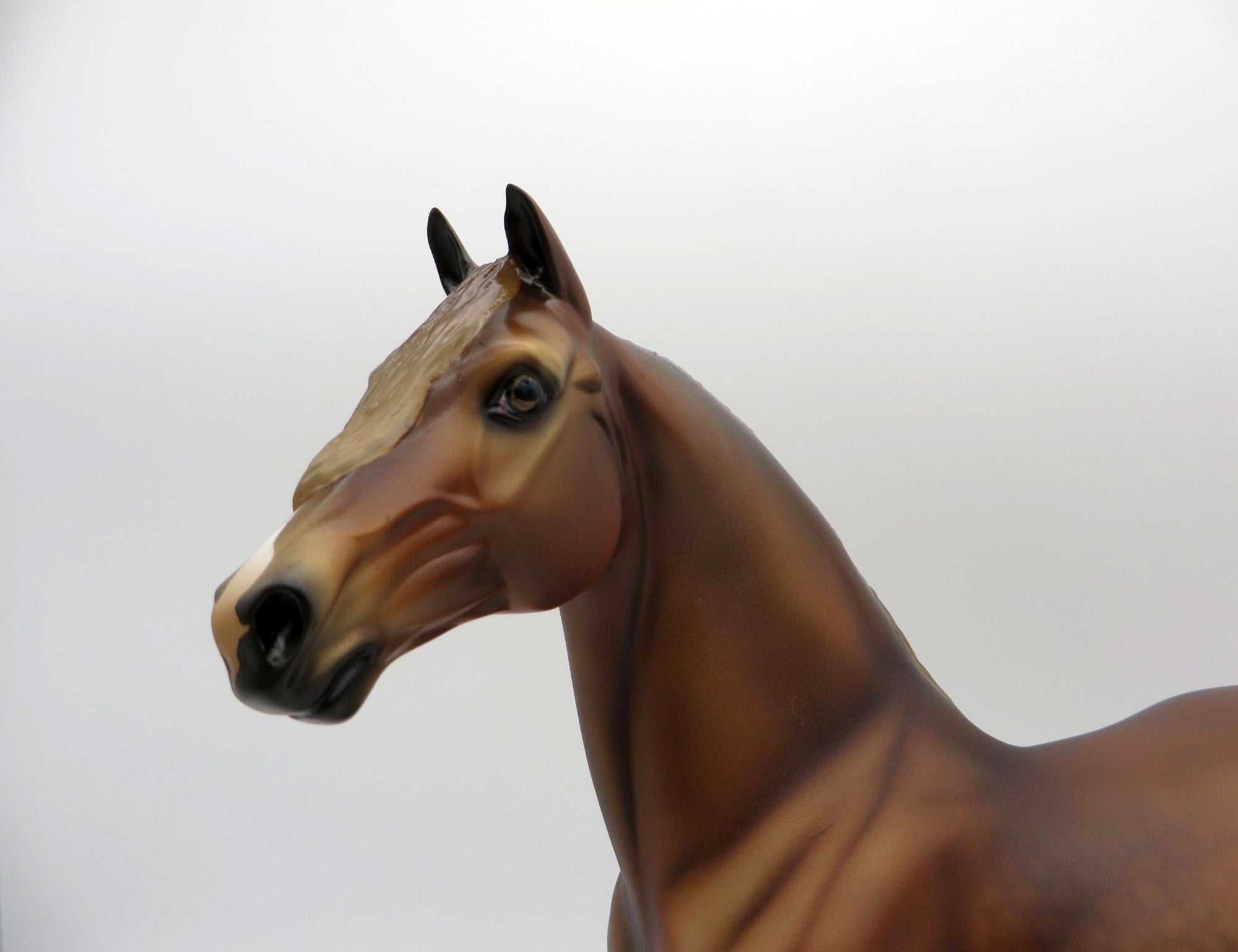 Spielberg-OOAK Chestnut Morgan Painted By Audrey Dixon EQ 21
