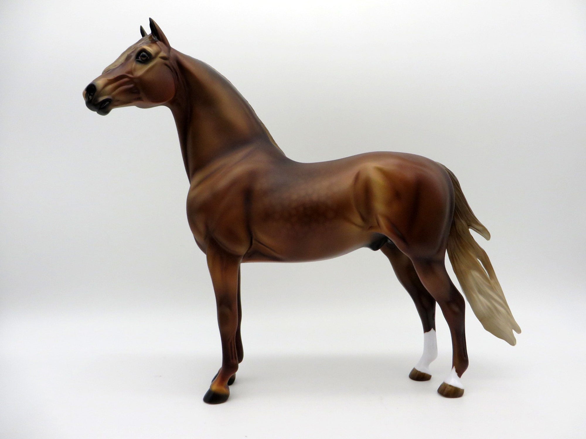 Spielberg-OOAK Chestnut Morgan Painted By Audrey Dixon EQ 21