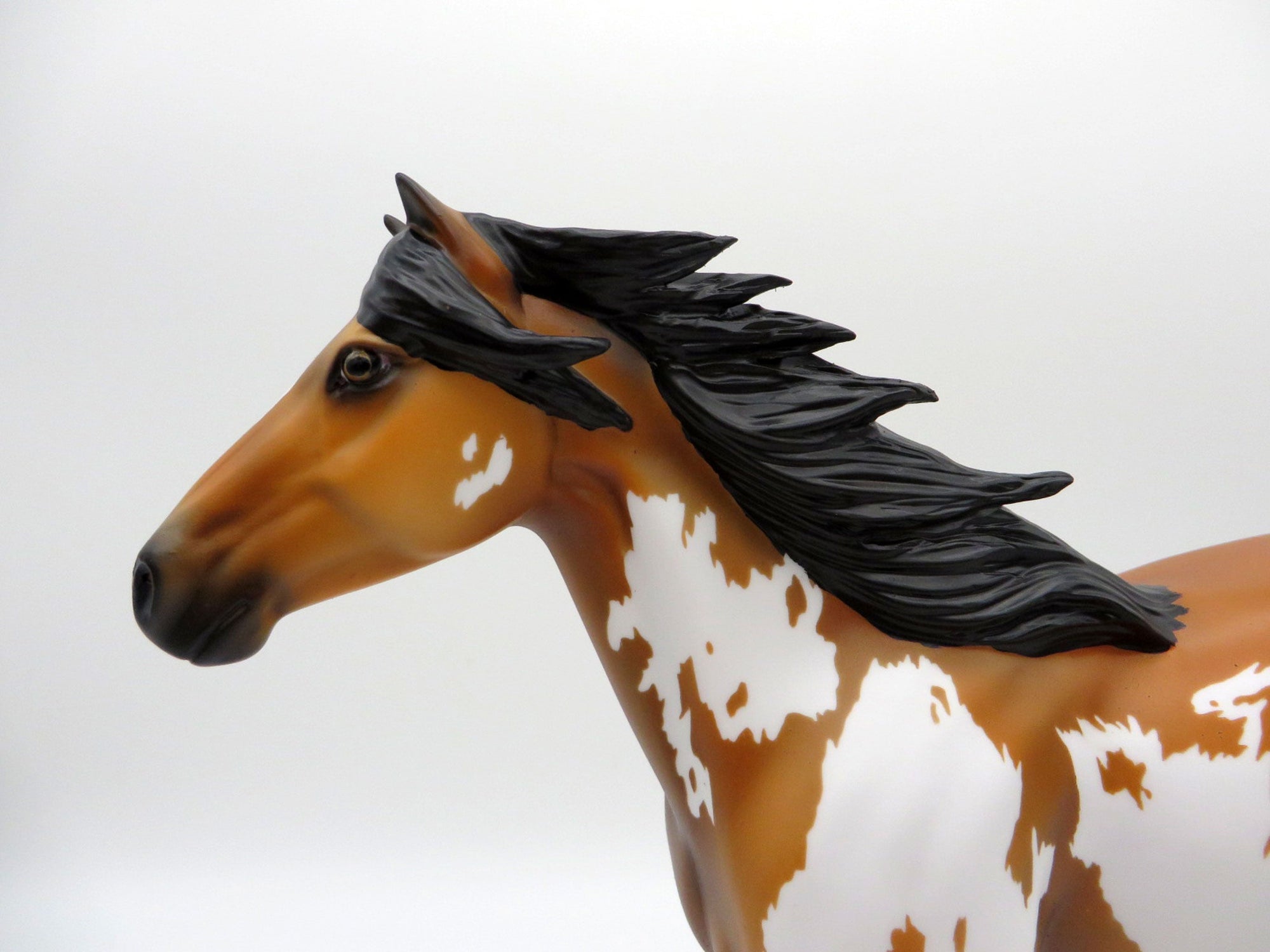 Spindrift LE-20 Mustang Painted By Ellen Robbins EQ 21