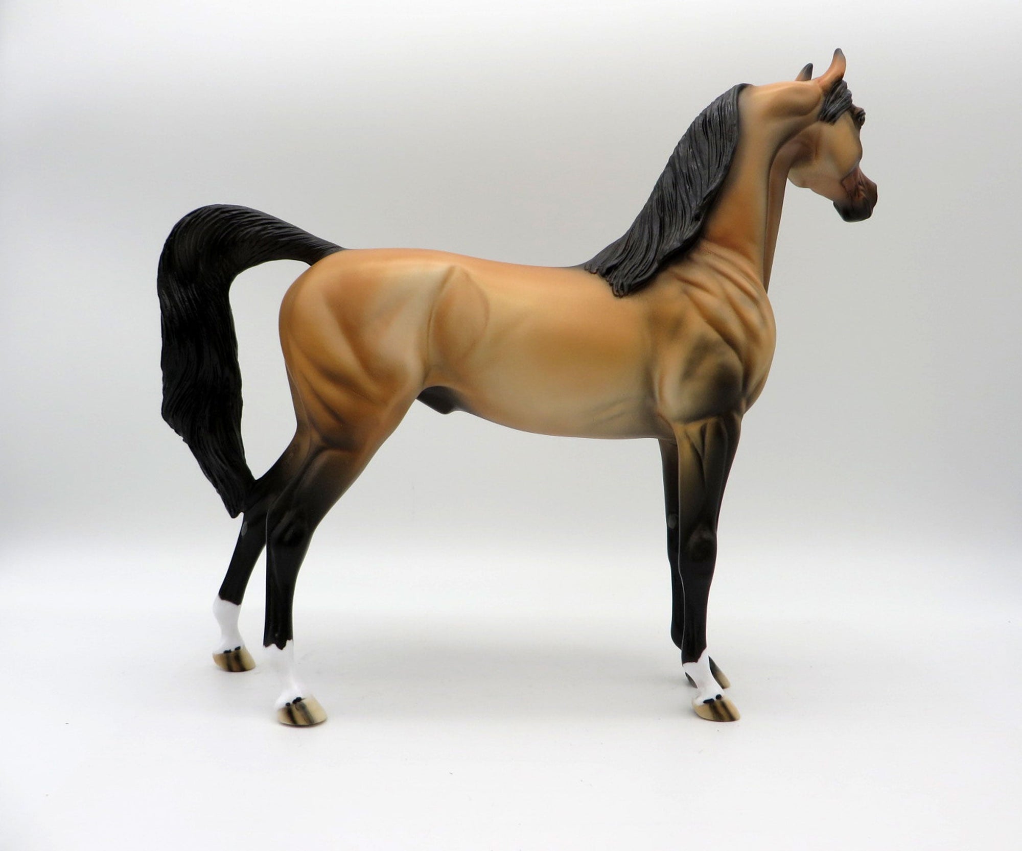 Spirit-OOAK Buckskin Arabian Painted By Dawn Quick  5/21/21