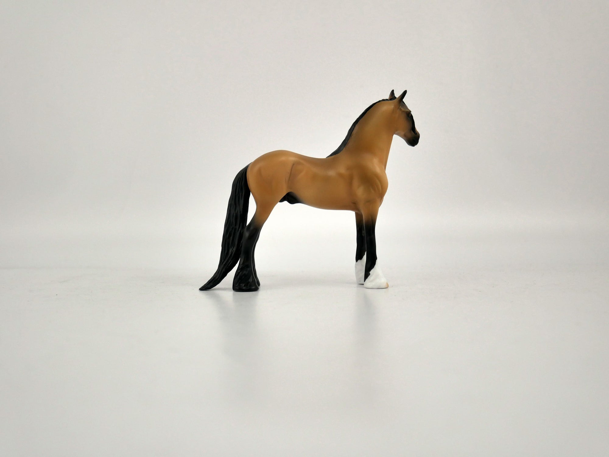 What is inside the Box&gt; Spirit 12/20