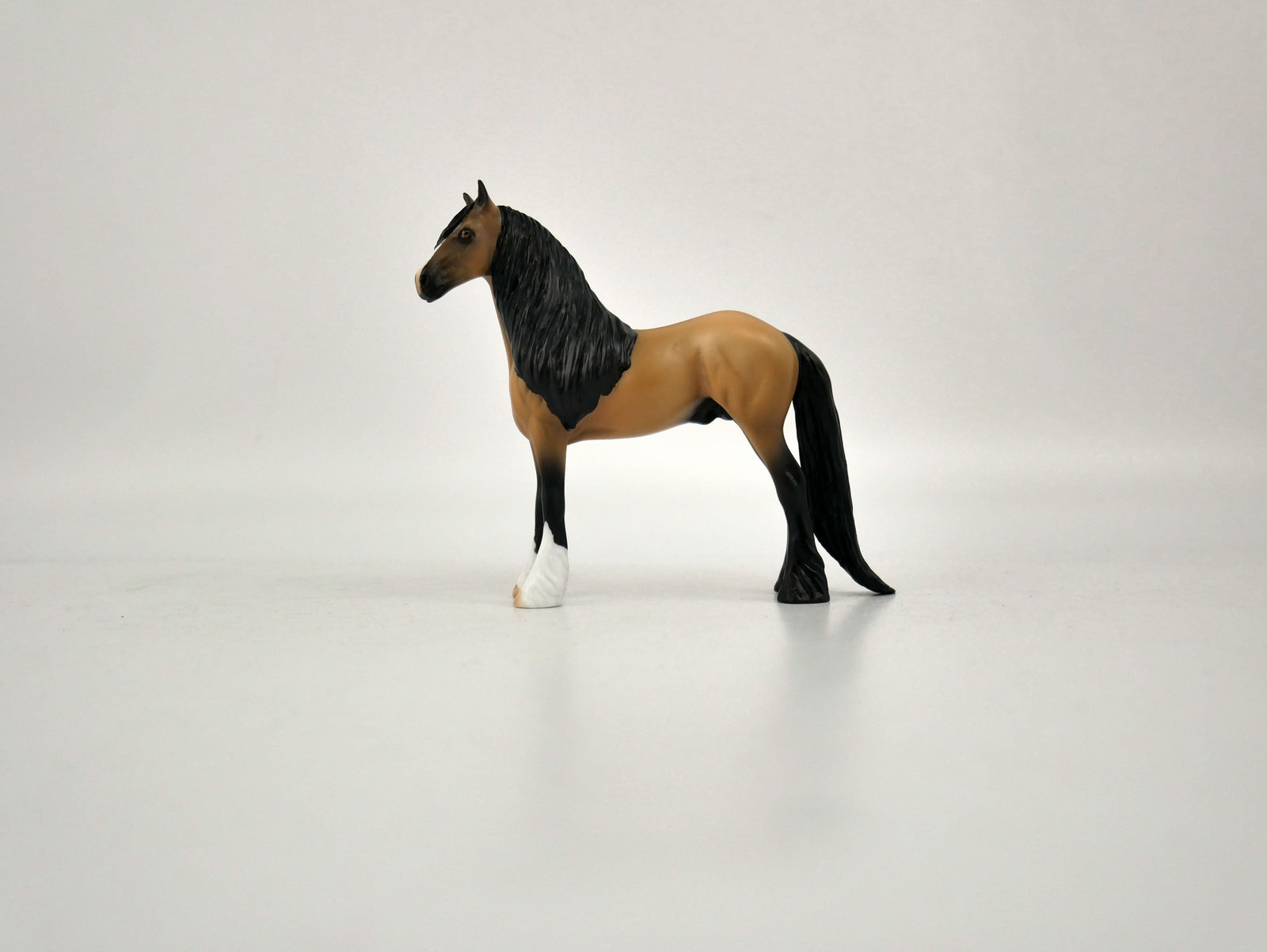 What is inside the Box> Spirit 12/20