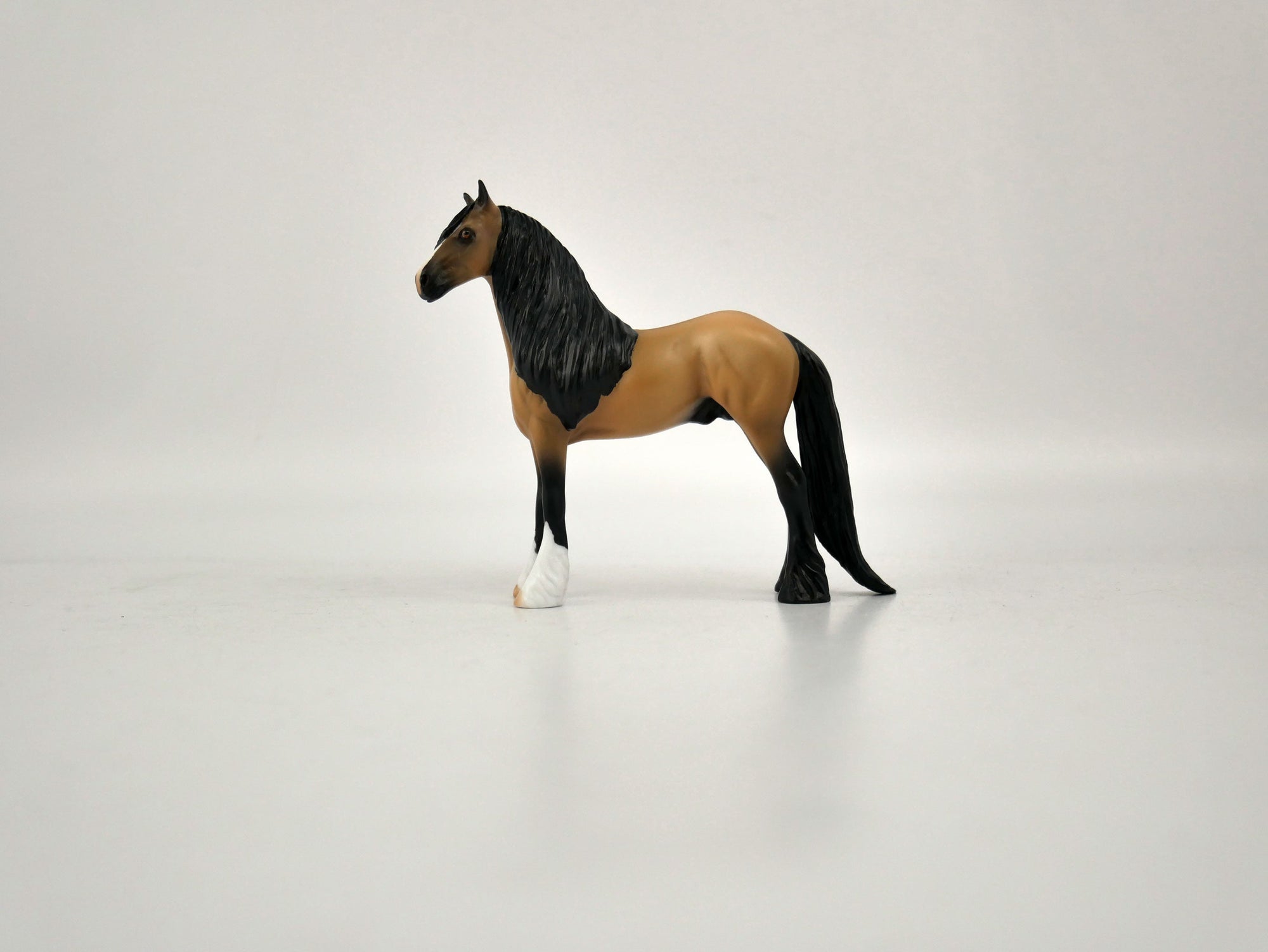 What is inside the Box> Spirit 12/20