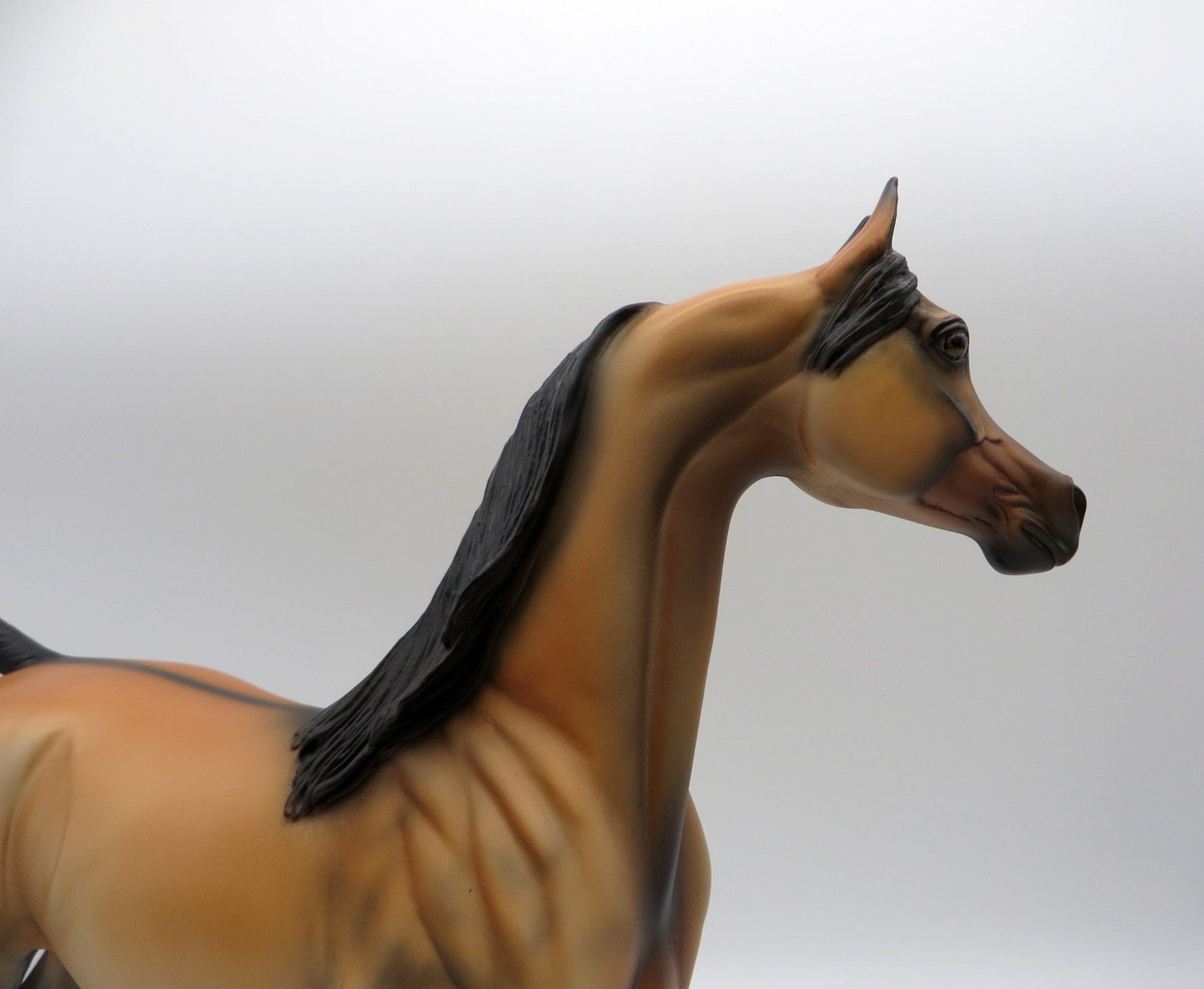 Spirit-OOAK Buckskin Arabian Painted By Dawn Quick  5/21/21