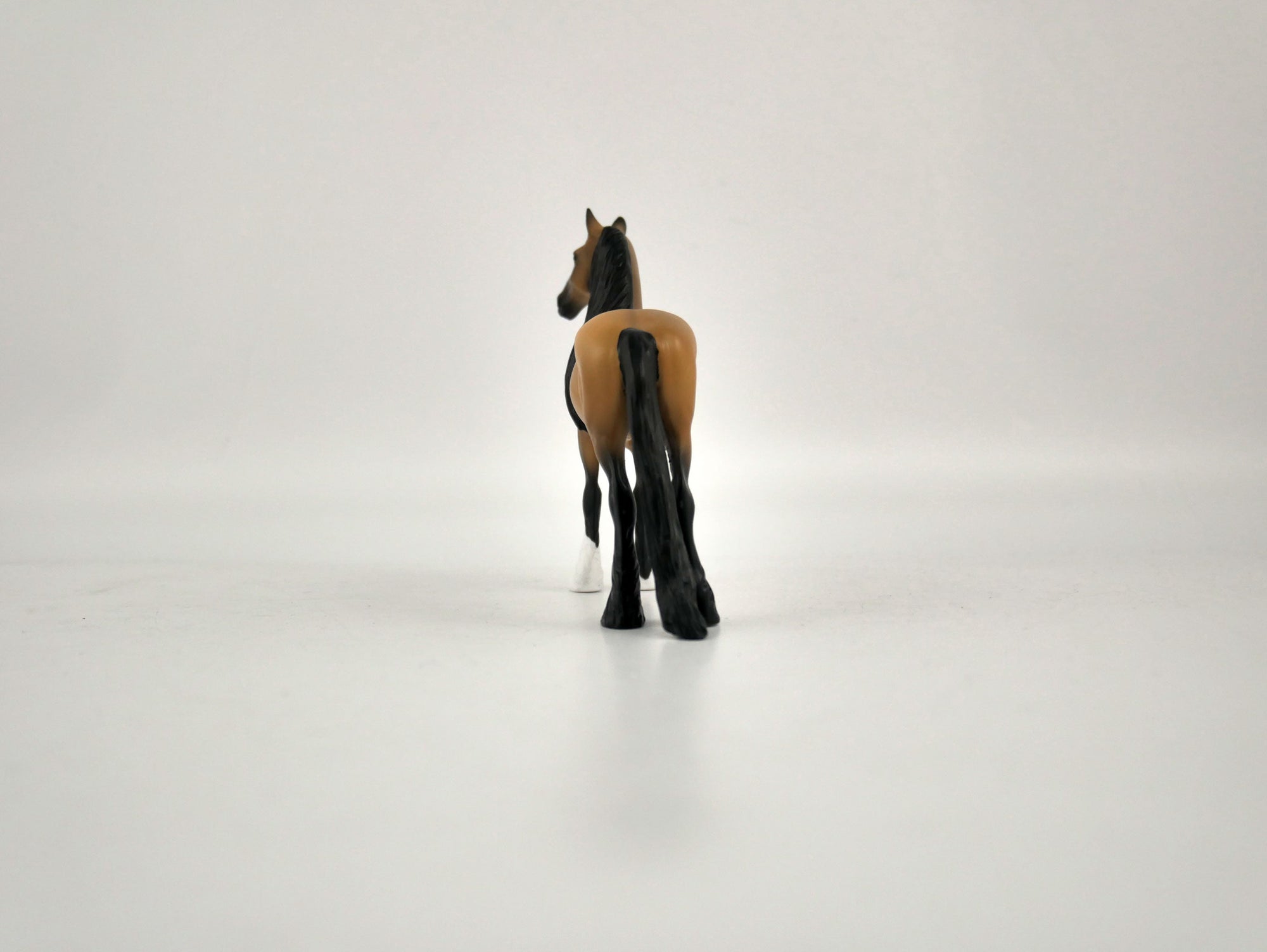 What is inside the Box&gt; Spirit 12/20