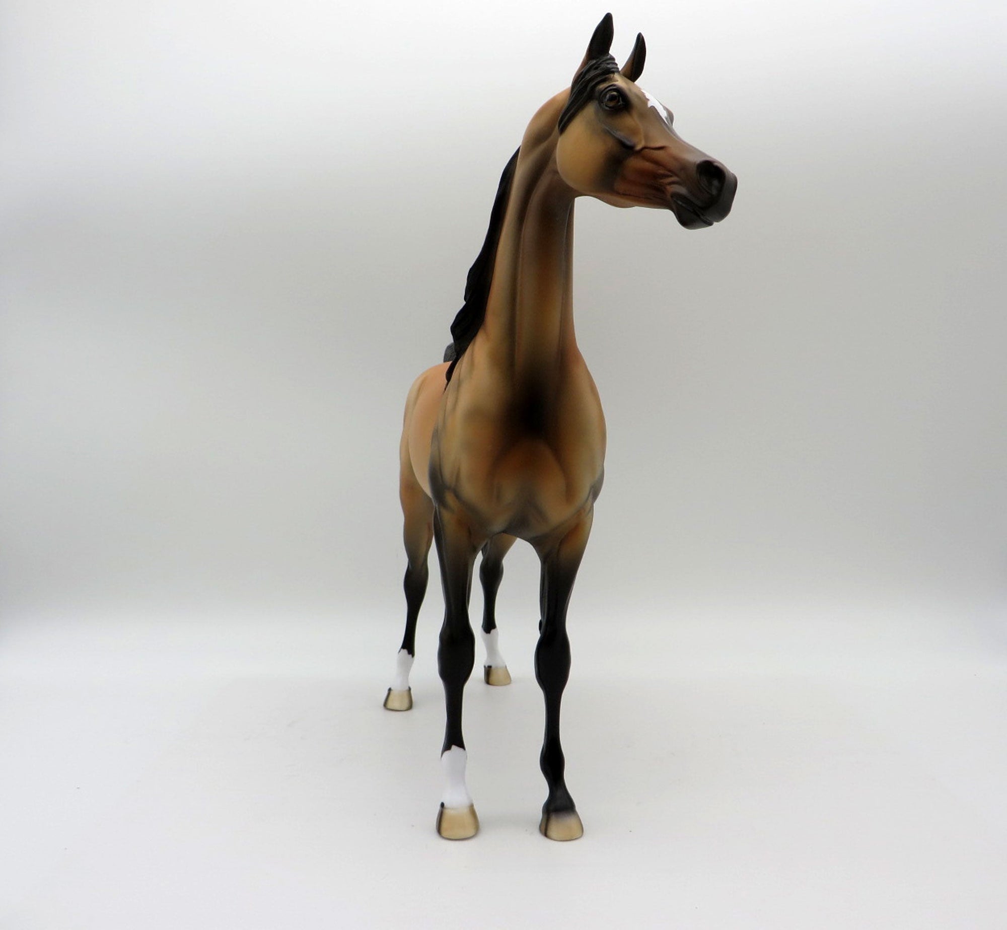 Spirit-OOAK Buckskin Arabian Painted By Dawn Quick  5/21/21