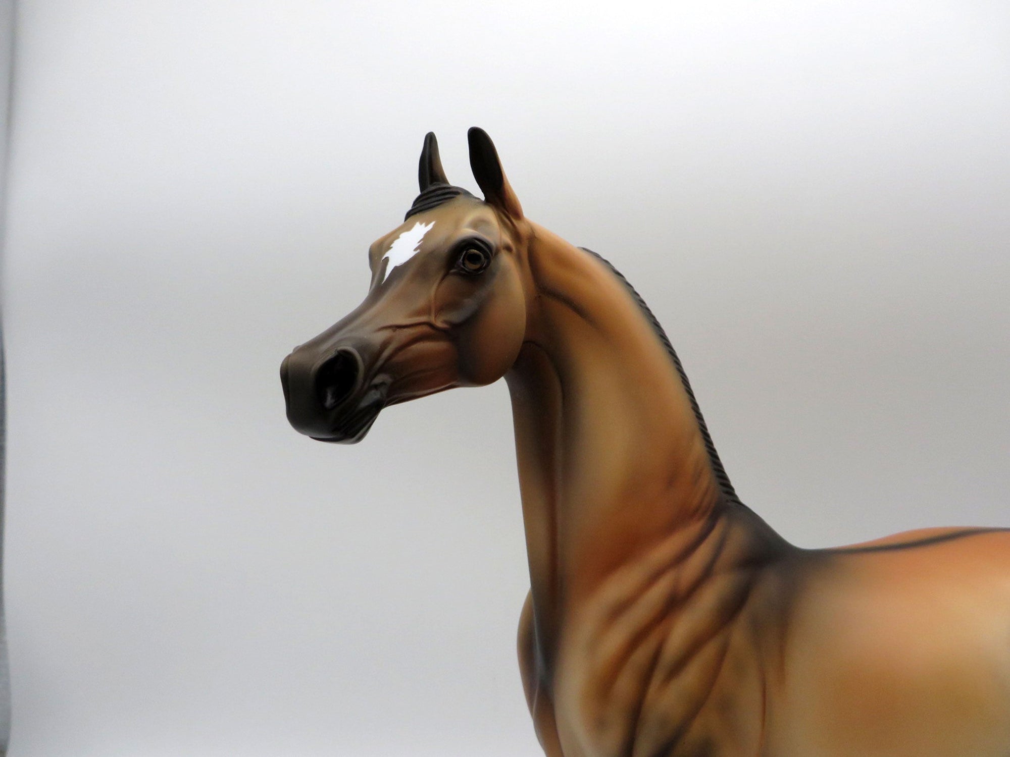 Spirit-OOAK Buckskin Arabian Painted By Dawn Quick  5/21/21