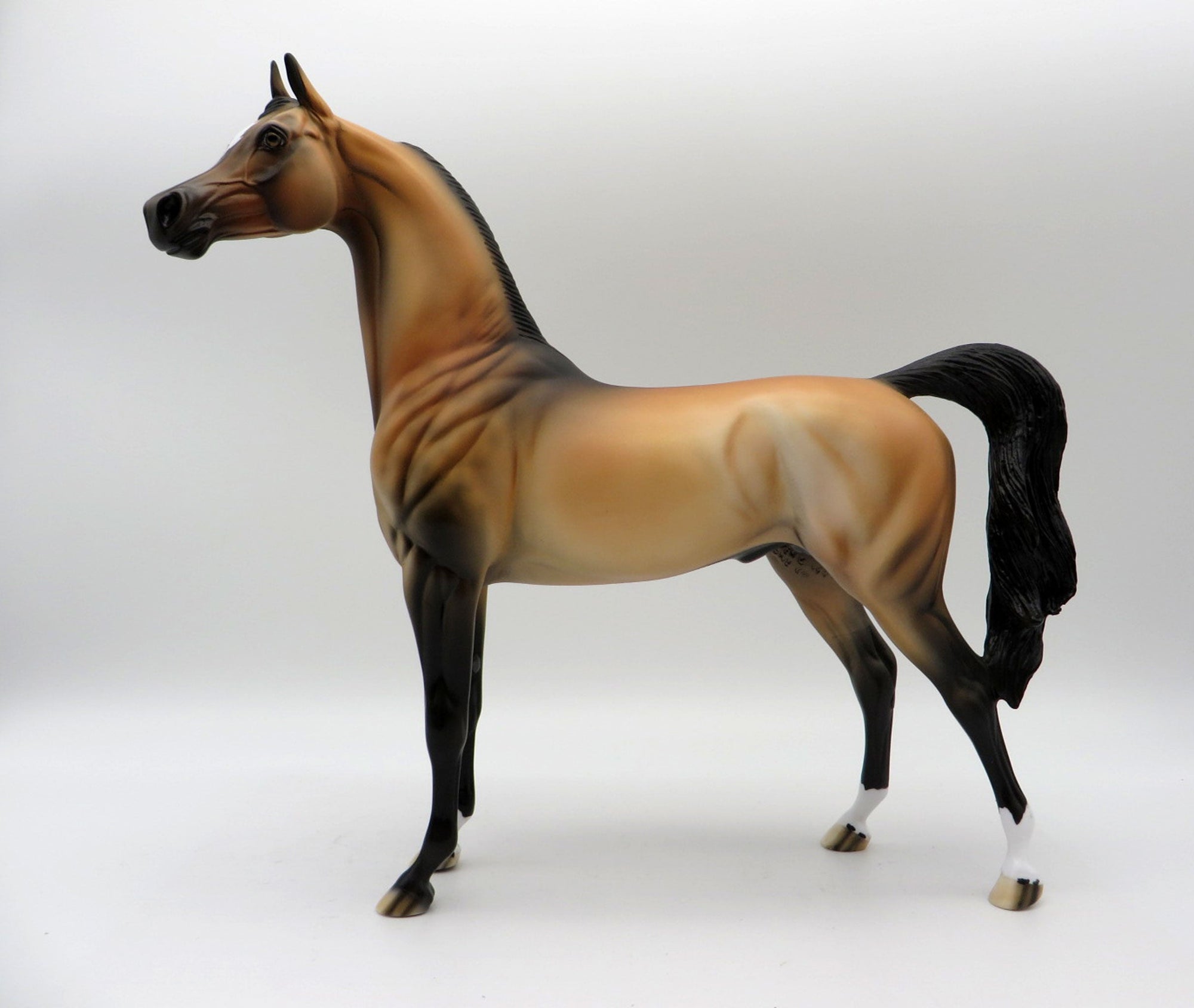 Spirit-OOAK Buckskin Arabian Painted By Dawn Quick  5/21/21