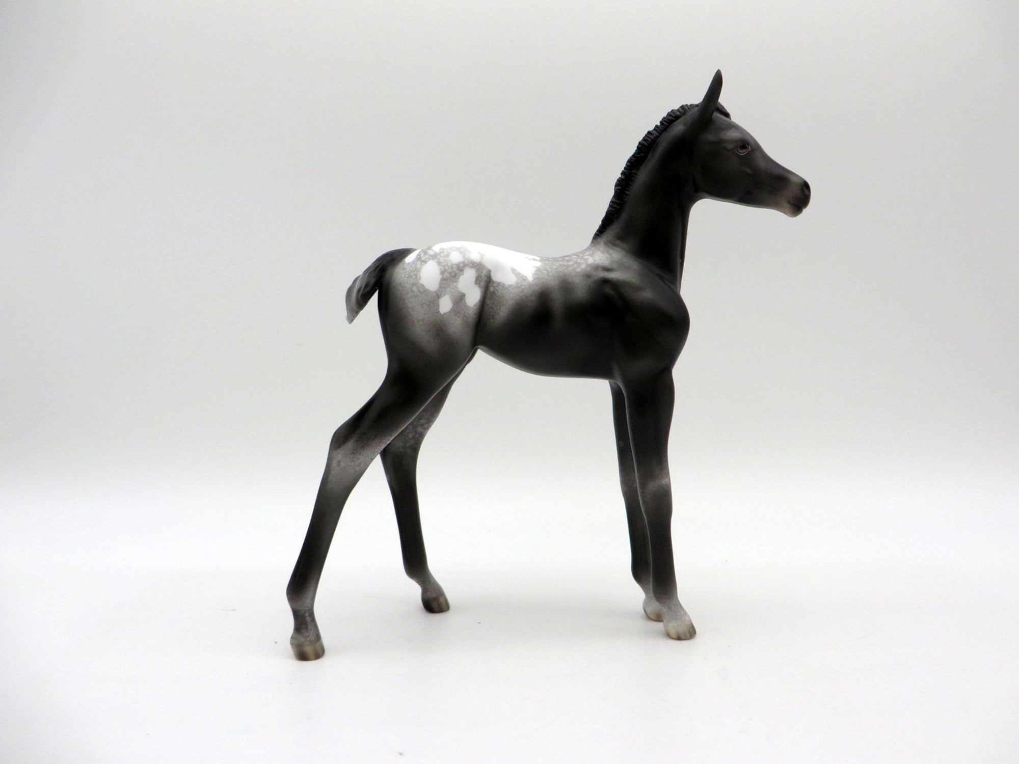Spitz-OOAK Appaloosa Foal Painted by Ellen Robbins EQ 21