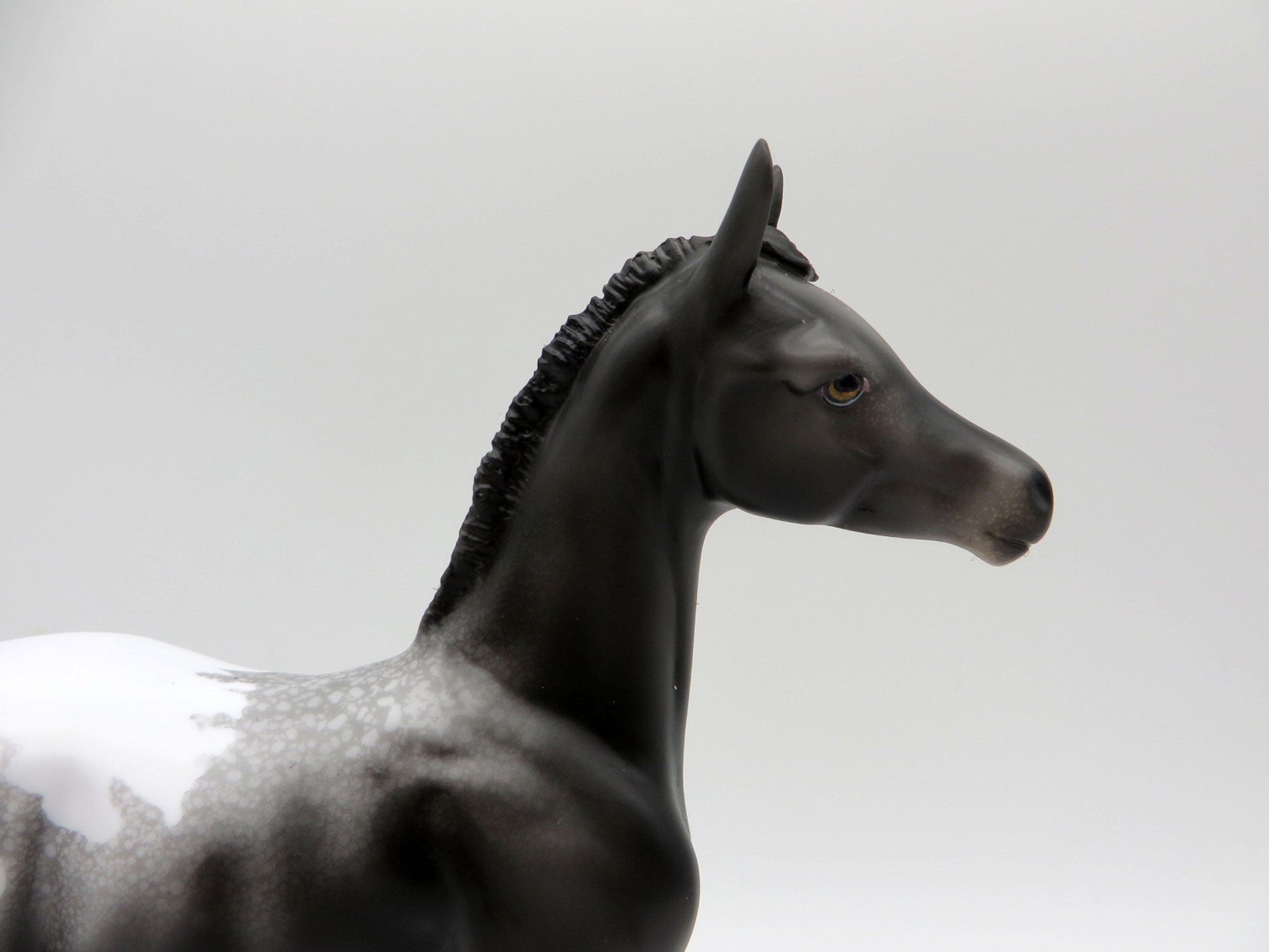 Spitz-OOAK Appaloosa Foal Painted by Ellen Robbins EQ 21