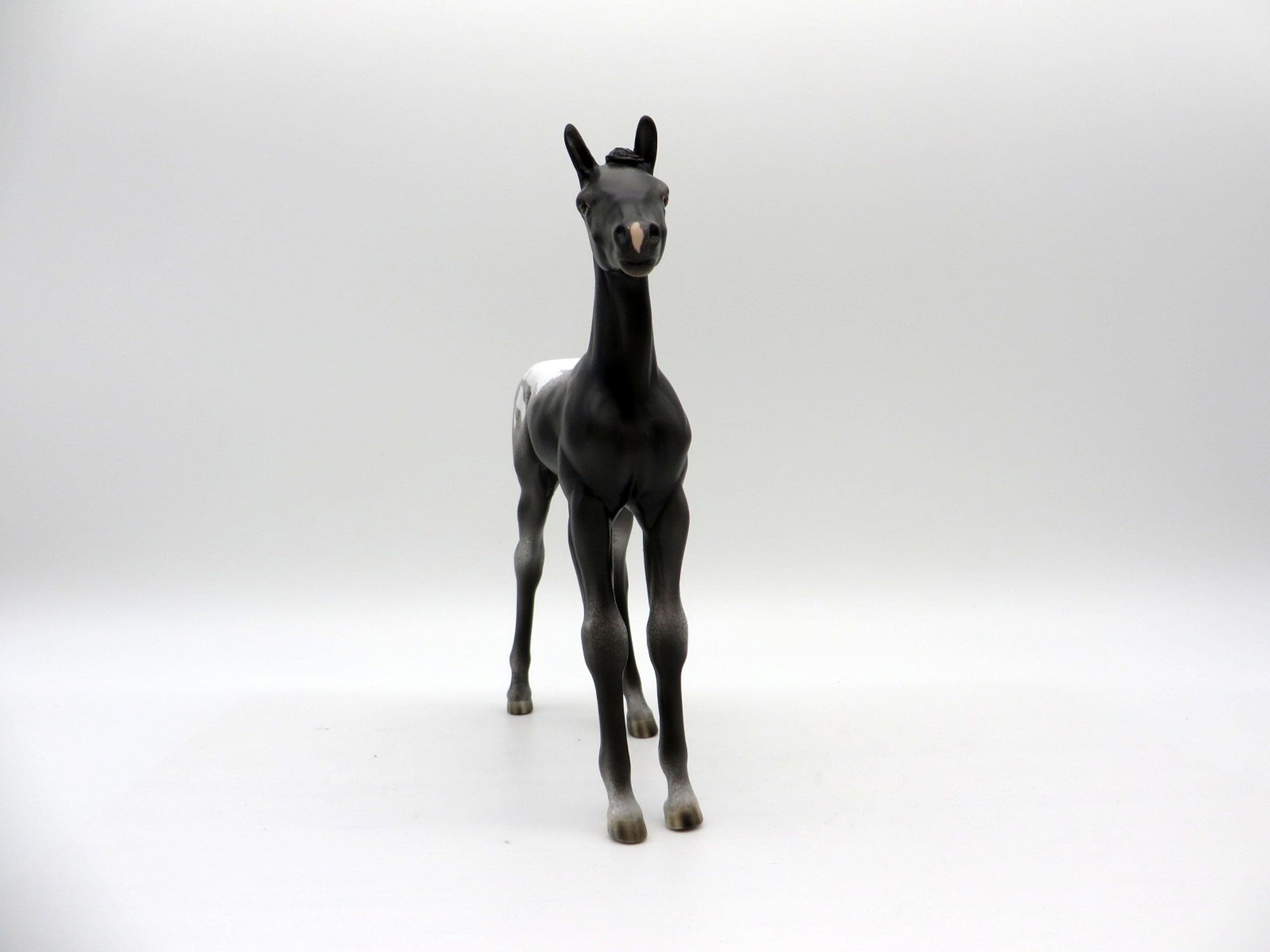 Spitz-OOAK Appaloosa Foal Painted by Ellen Robbins EQ 21