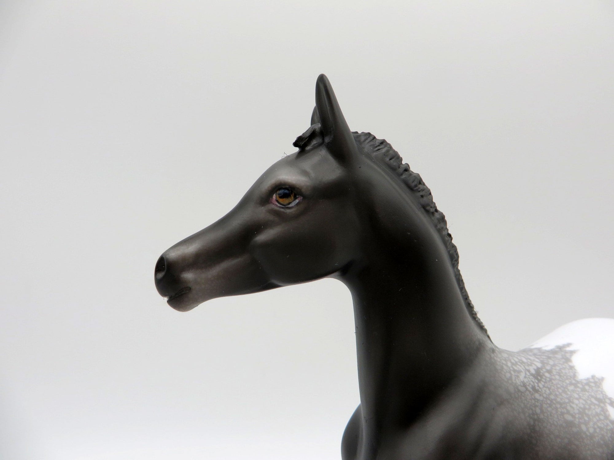 Spitz-OOAK Appaloosa Foal Painted by Ellen Robbins EQ 21