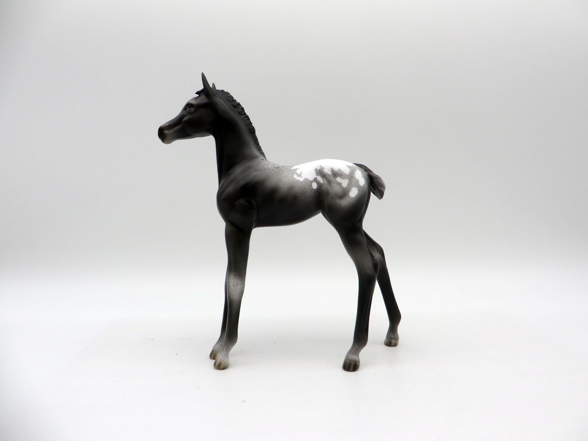 Spitz-OOAK Appaloosa Foal Painted by Ellen Robbins EQ 21