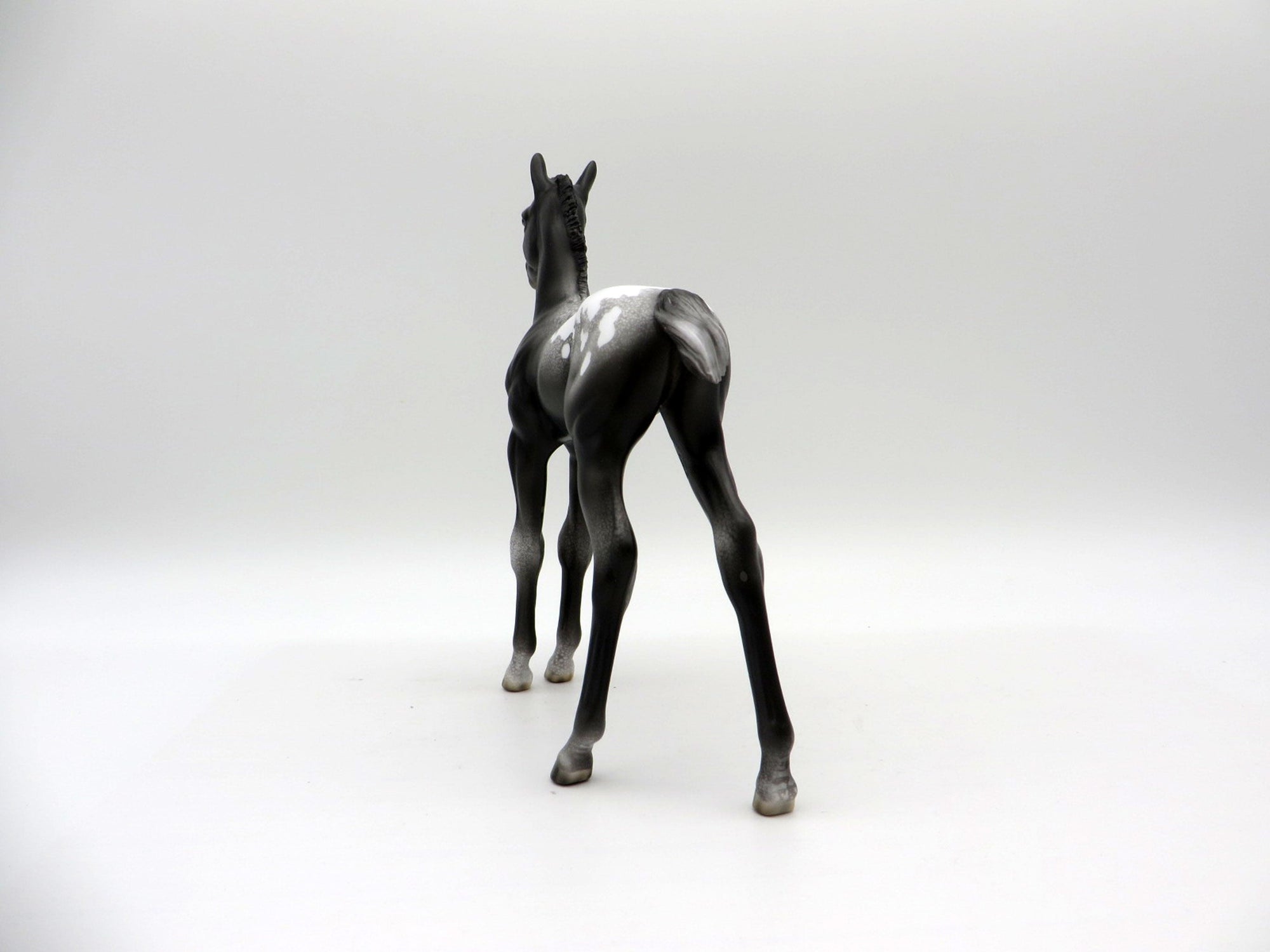 Spitz-OOAK Appaloosa Foal Painted by Ellen Robbins EQ 21