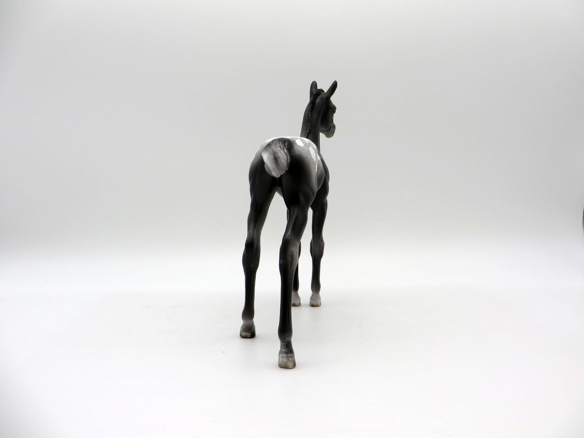 Spitz-OOAK Appaloosa Foal Painted by Ellen Robbins EQ 21