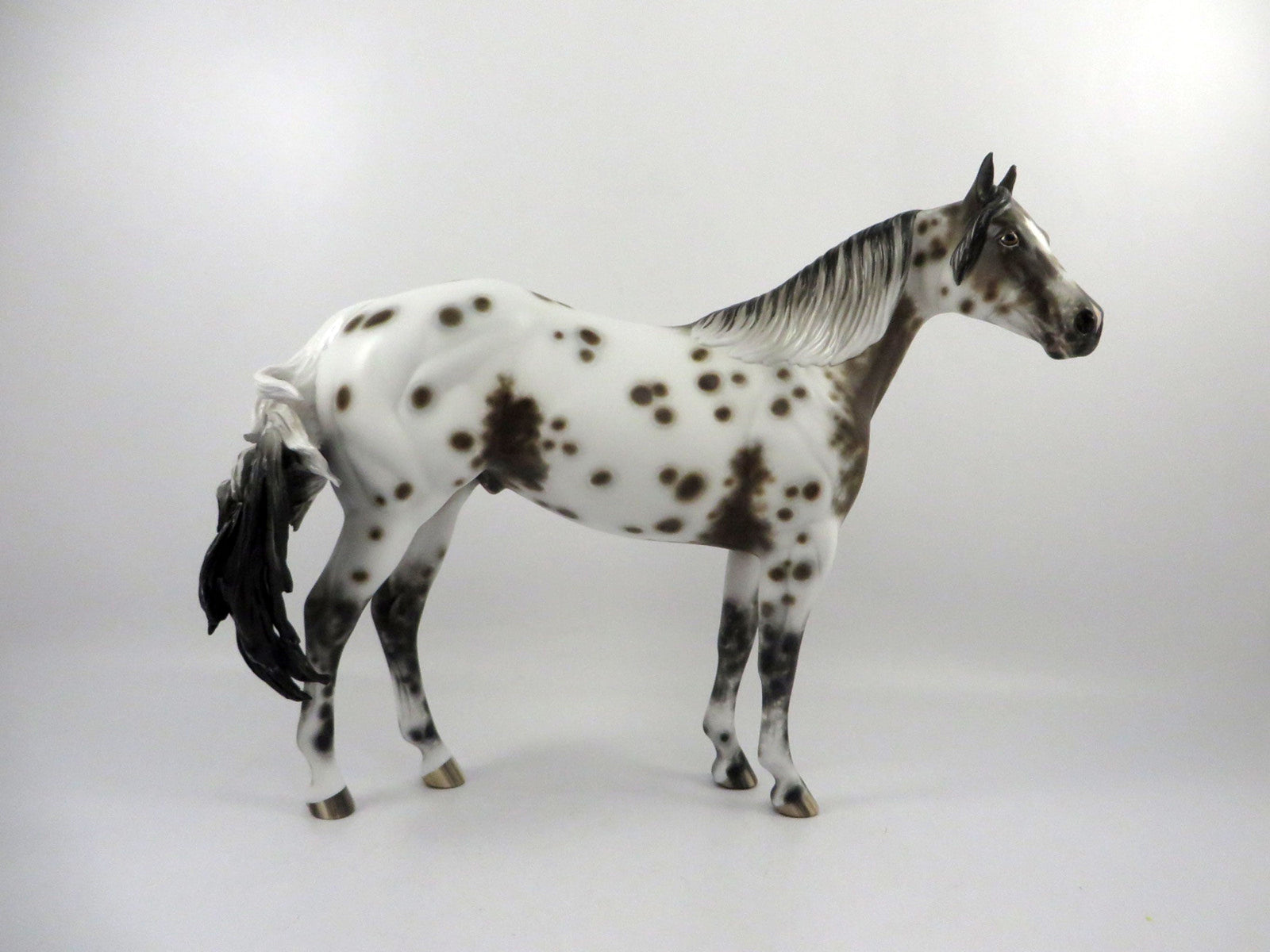 Splashdown-OOAK Bay Appaloosa ISH Painted By Sheryl Leisure  2/25/21