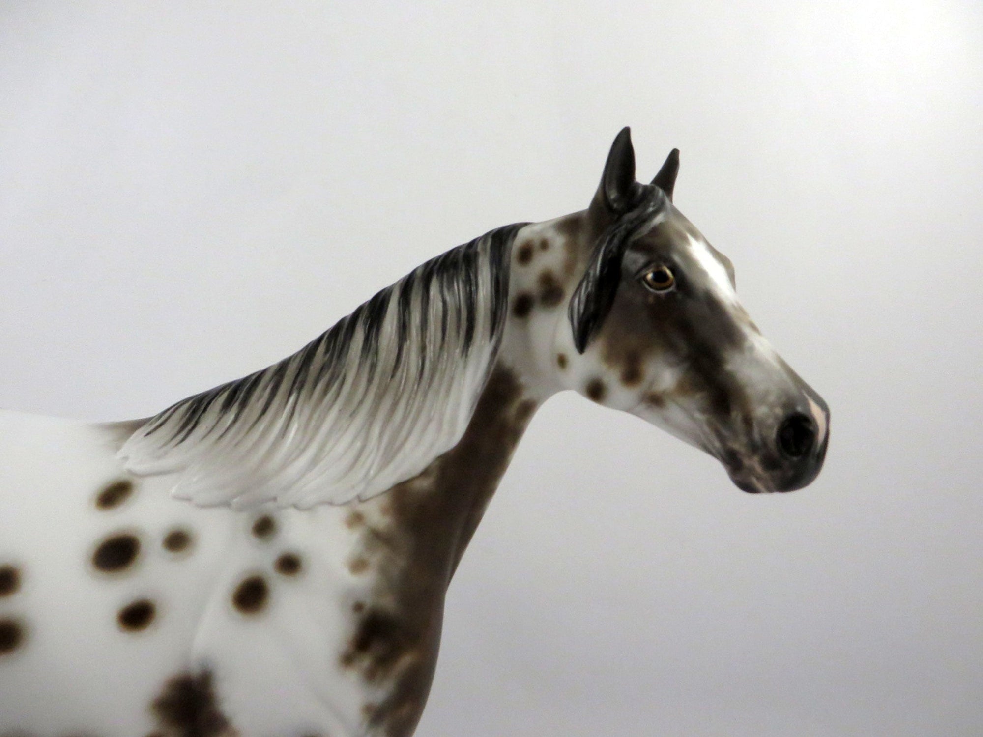Splashdown-OOAK Bay Appaloosa ISH Painted By Sheryl Leisure  2/25/21