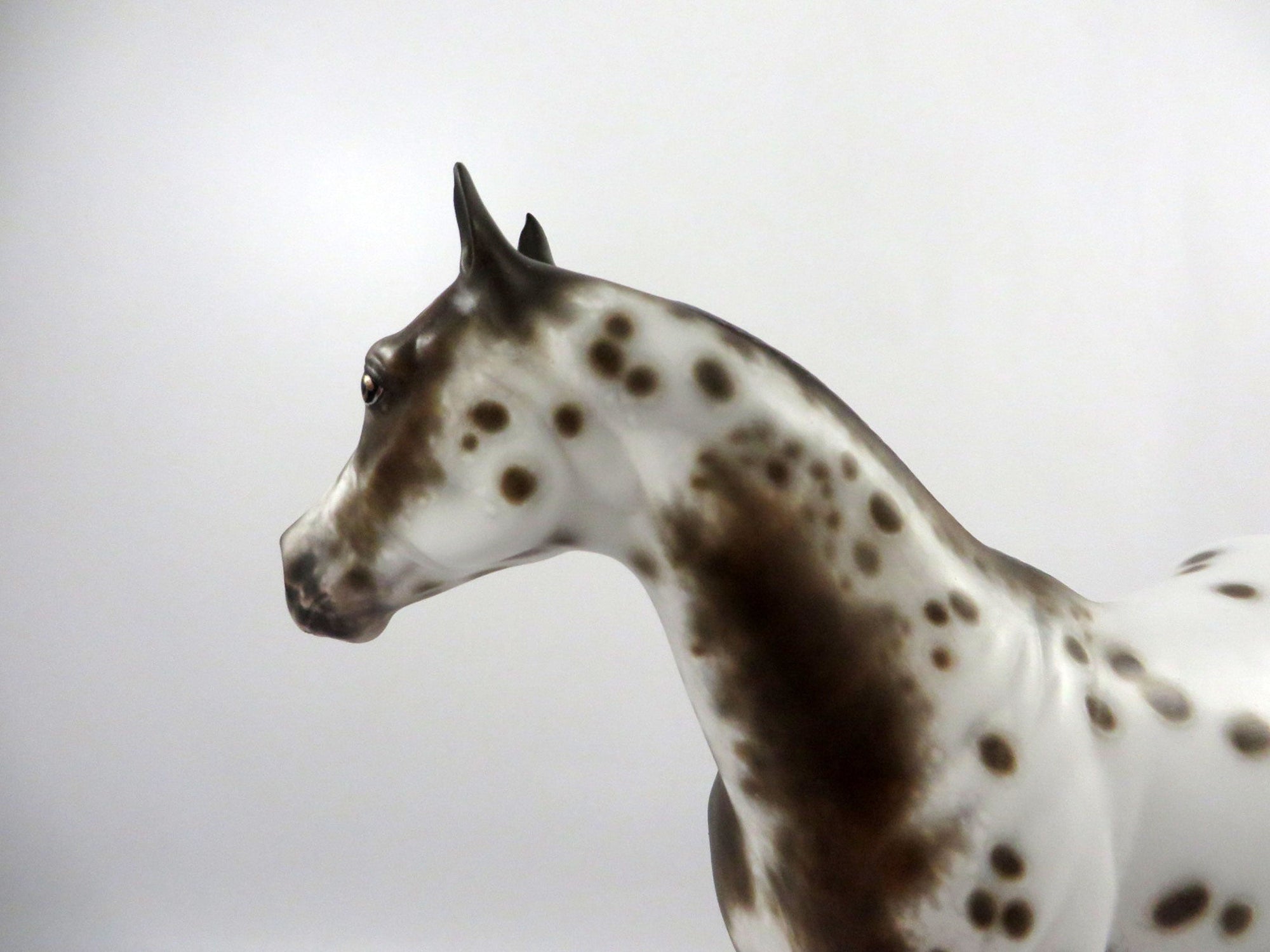 Splashdown-OOAK Bay Appaloosa ISH Painted By Sheryl Leisure  2/25/21