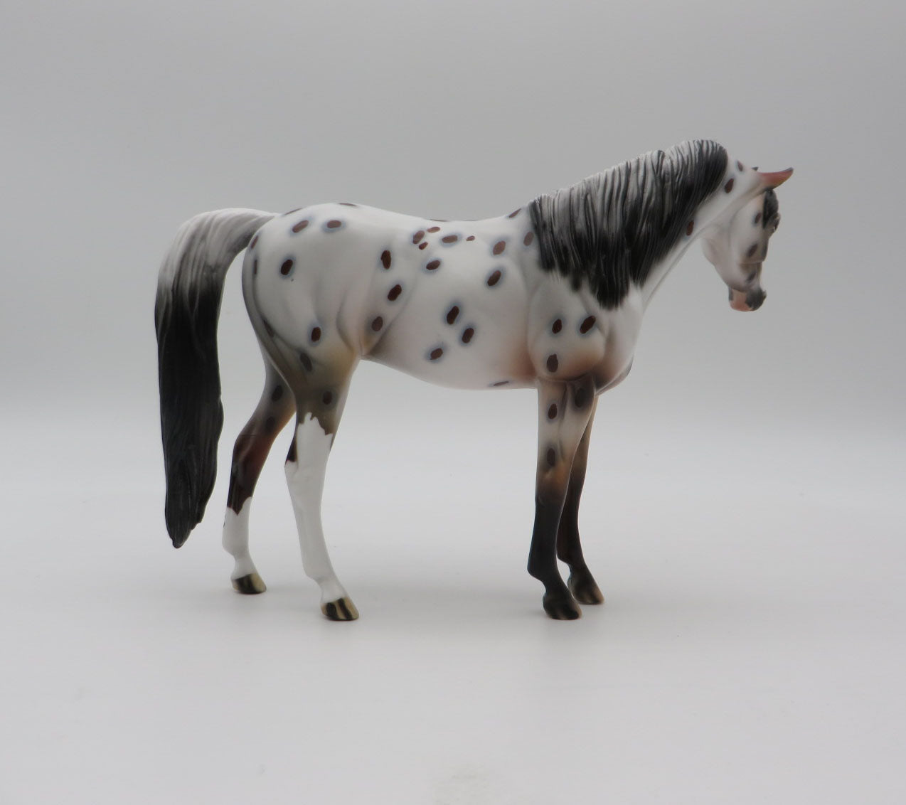Spot-OOAK Arabian Pebbles Appaloosa By Dawn Quick  P&amp;C 23