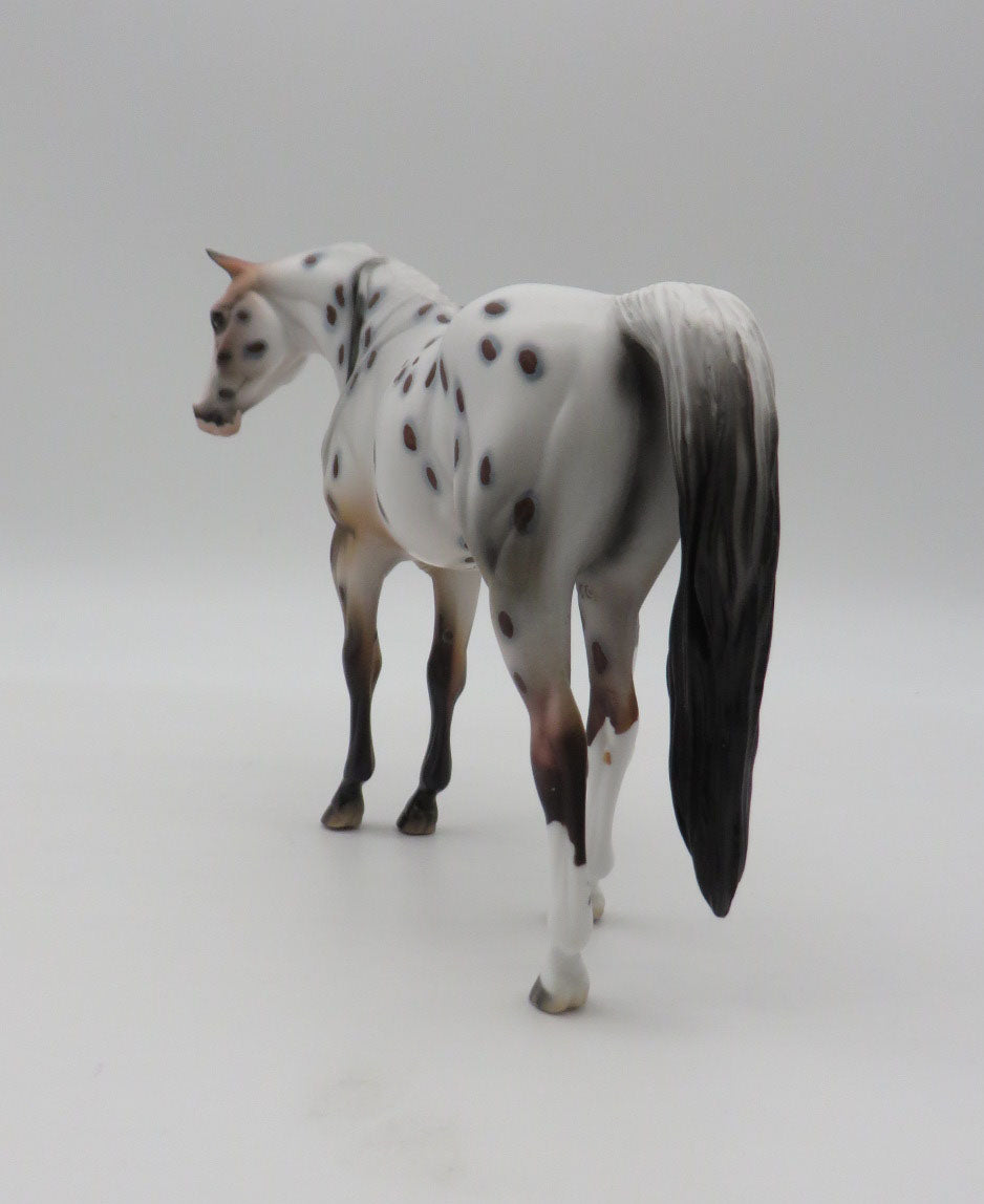 Spot-OOAK Arabian Pebbles Appaloosa By Dawn Quick  P&amp;C 23