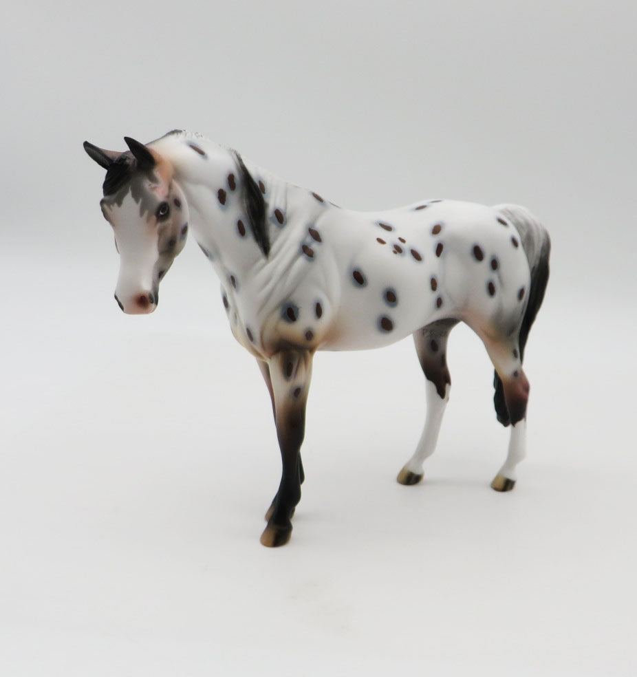 Spot-OOAK Arabian Pebbles Appaloosa By Dawn Quick  P&amp;C 23