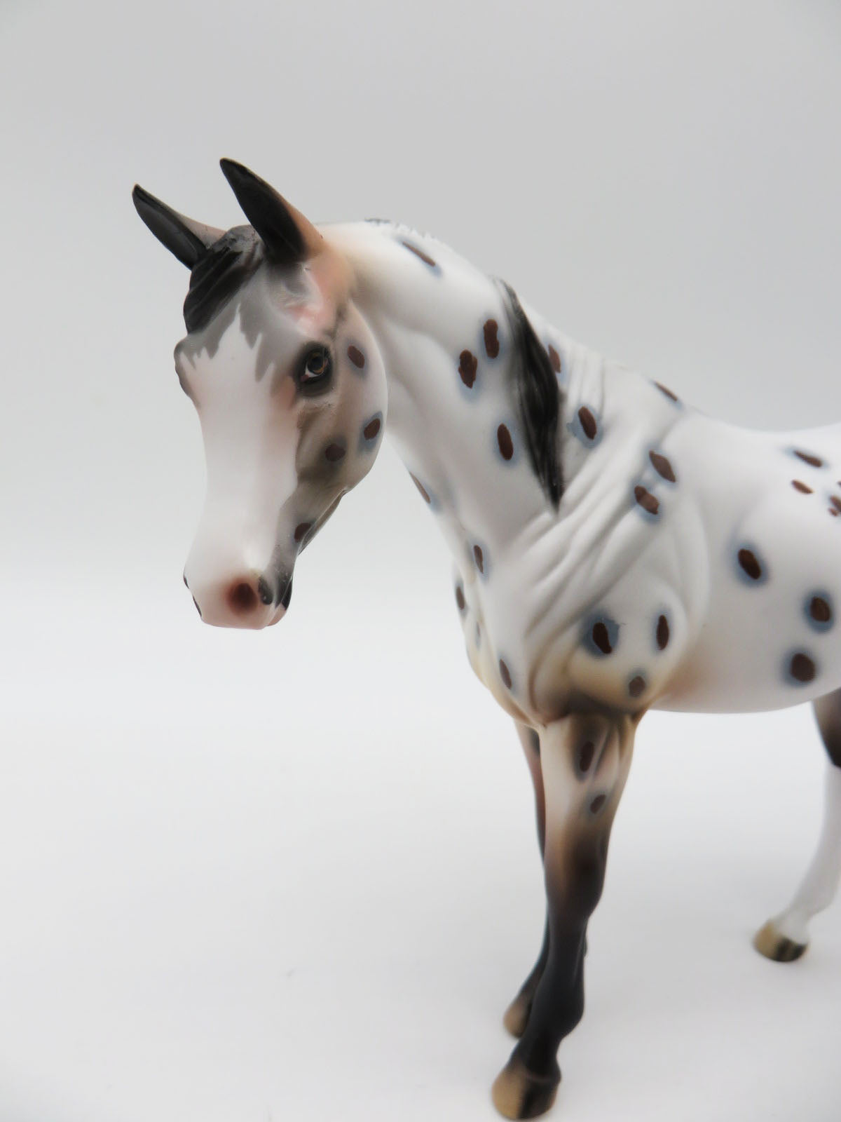 Spot-OOAK Arabian Pebbles Appaloosa By Dawn Quick  P&amp;C 23