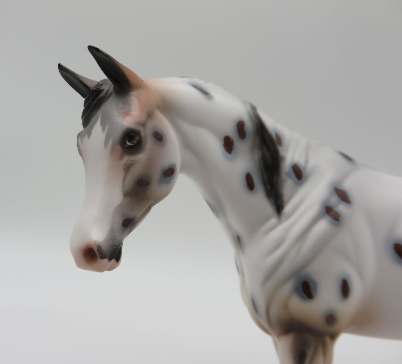 Spot-OOAK Arabian Pebbles Appaloosa By Dawn Quick  P&amp;C 23