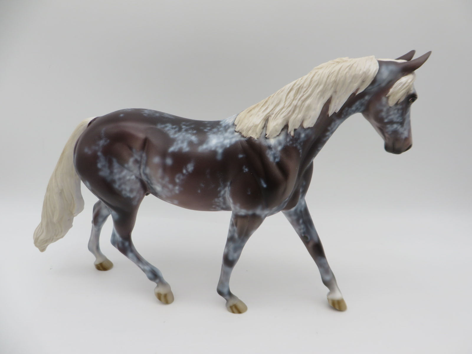 Spotish - OOAK Roan Pony By Dawn Quick  P&amp;C 23