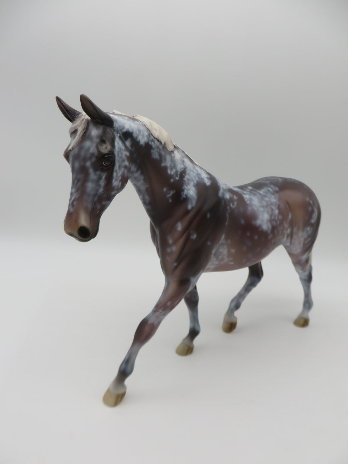 Spotish - OOAK Roan Pony By Dawn Quick  P&amp;C 23