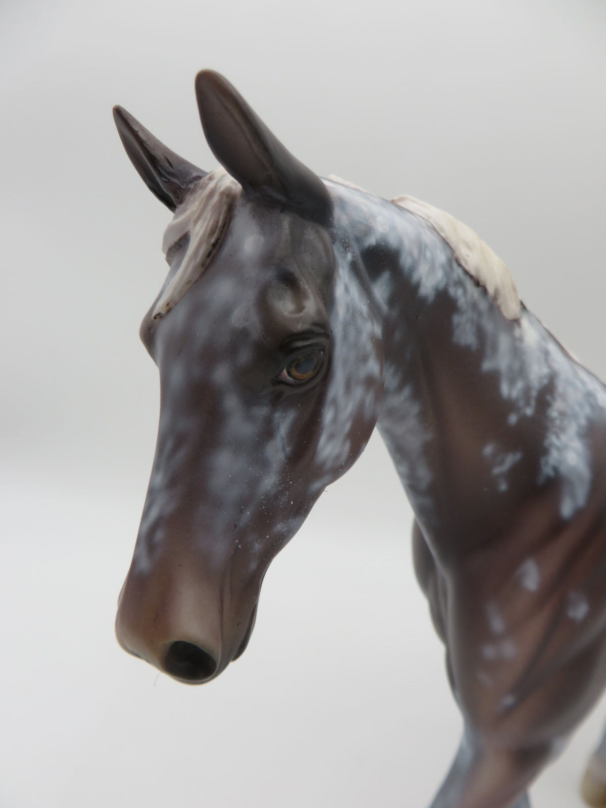 Spotish - OOAK Roan Pony By Dawn Quick  P&amp;C 23