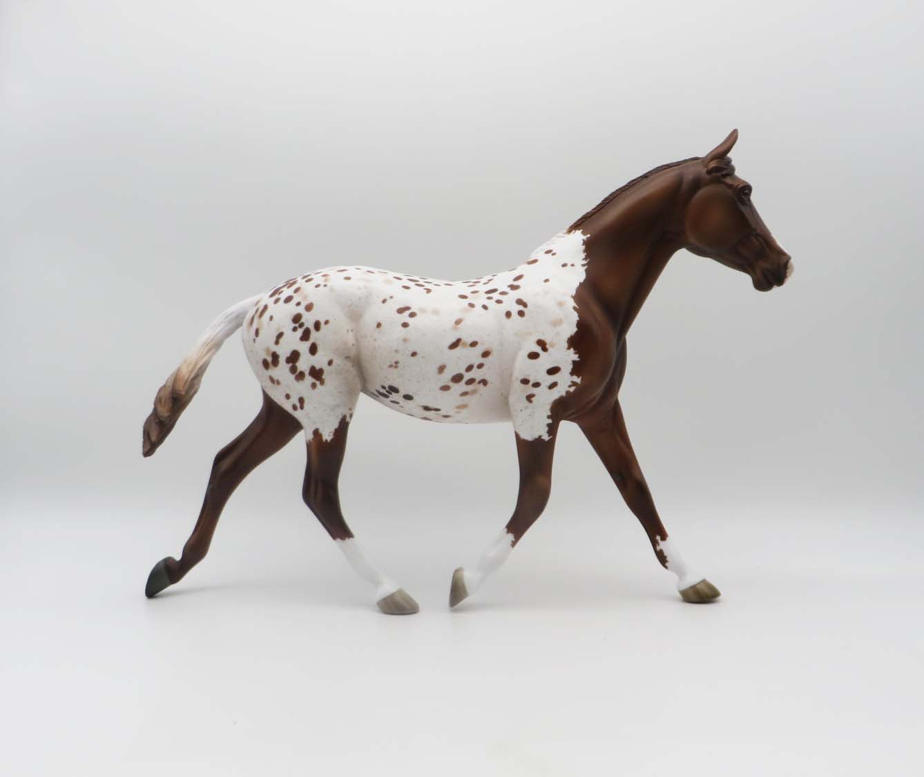 Springer - OOAK - Chestnut Appaloosa Palouse By Jess Hamill - P&C 23