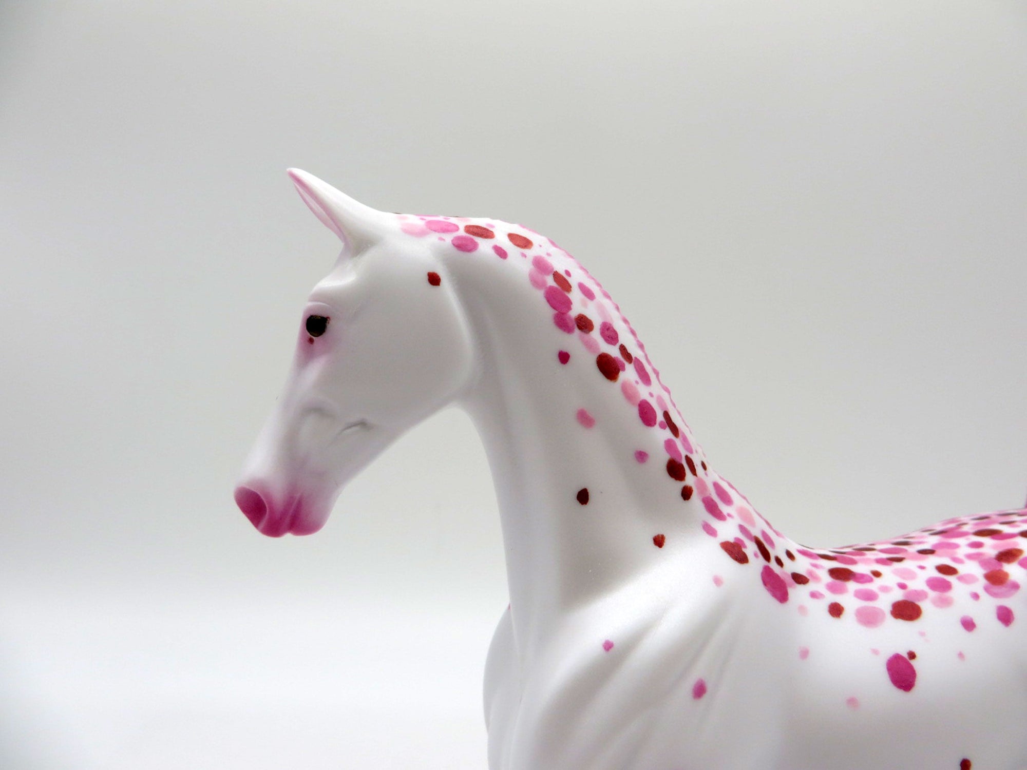 Sprinkle Kindness-OOAK Saddlebred Pebbles Decorator By Ellen Robbins 6/4/21