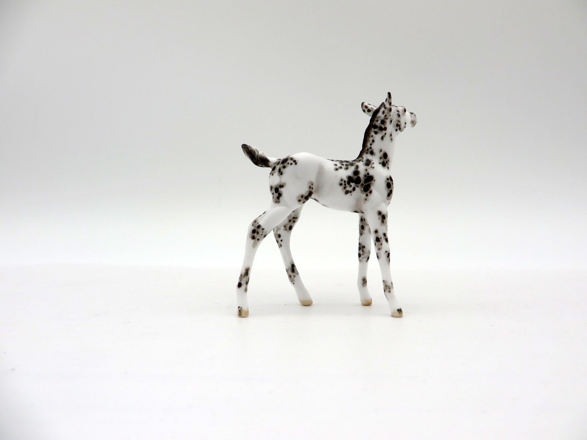 Sprinkle-OOAK Black Sabino Foal Chip SHCF 2021