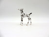 Sprinkle-OOAK Black Sabino Foal Chip SHCF 2021
