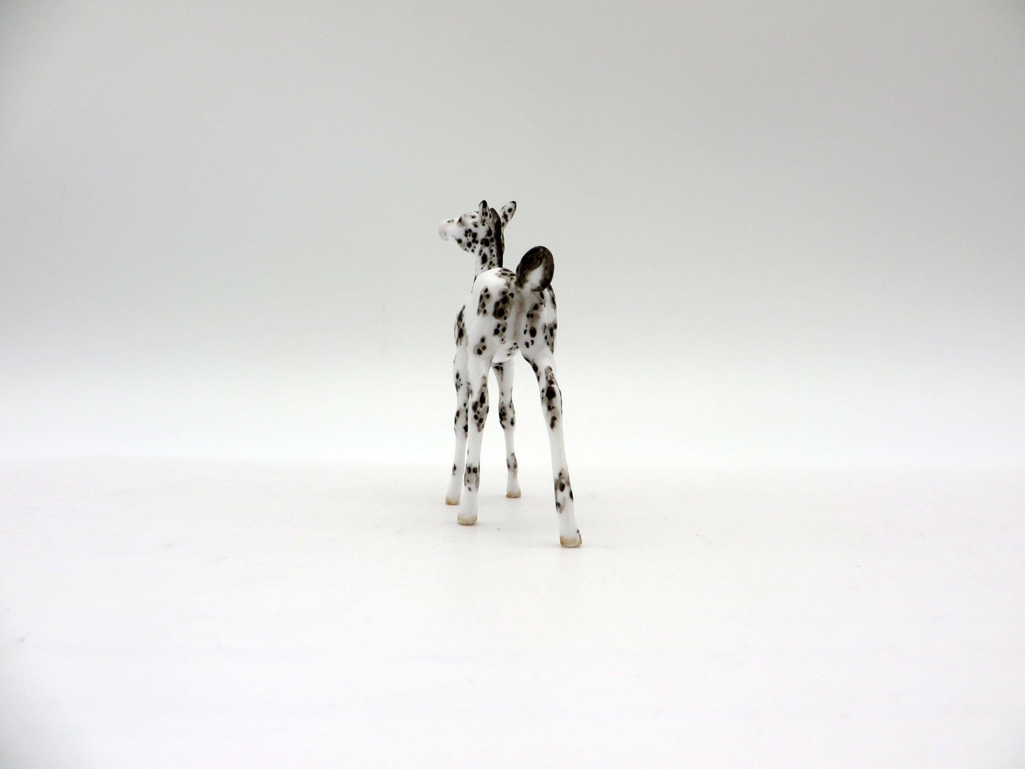 Sprinkle-OOAK Black Sabino Foal Chip SHCF 2021