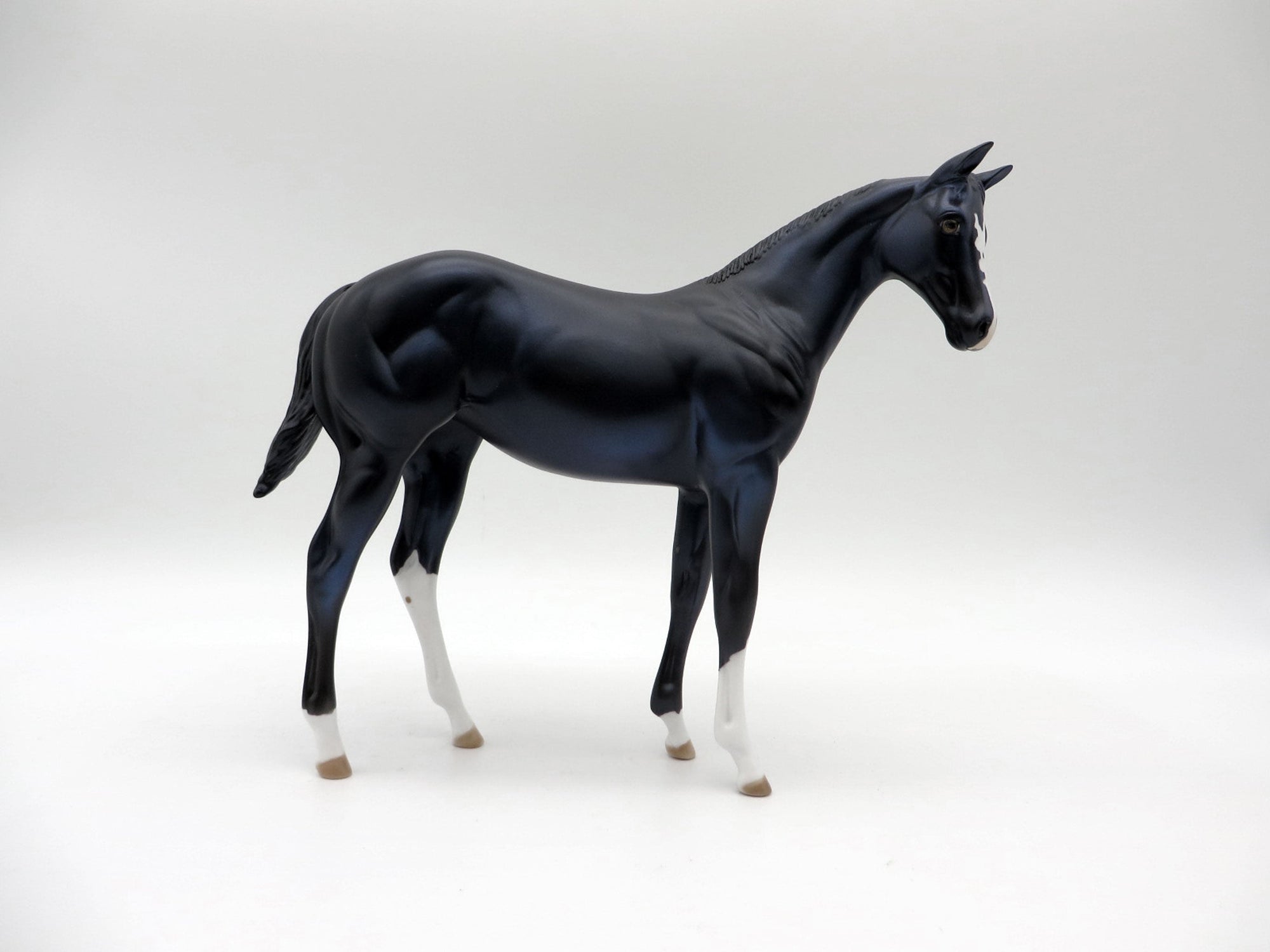 Squirtle-OOAK Black Weanling 5/11/21