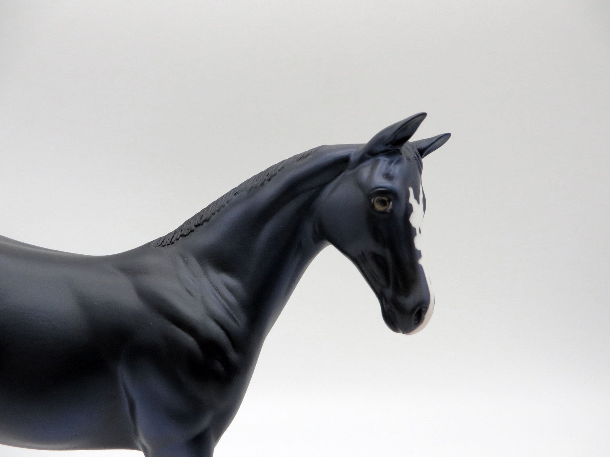 Squirtle-OOAK Black Weanling 5/11/21