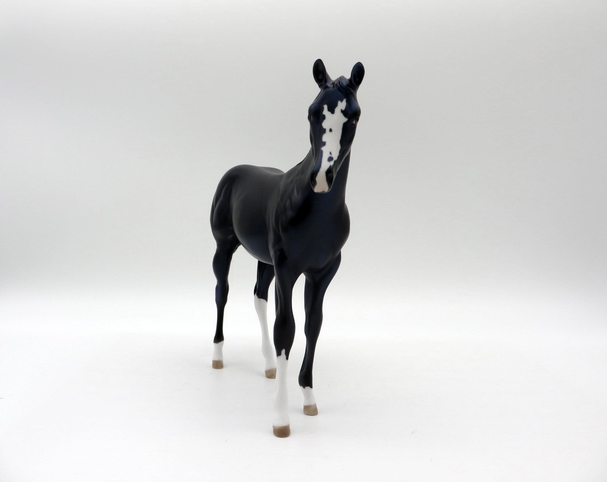 Squirtle-OOAK Black Weanling 5/11/21