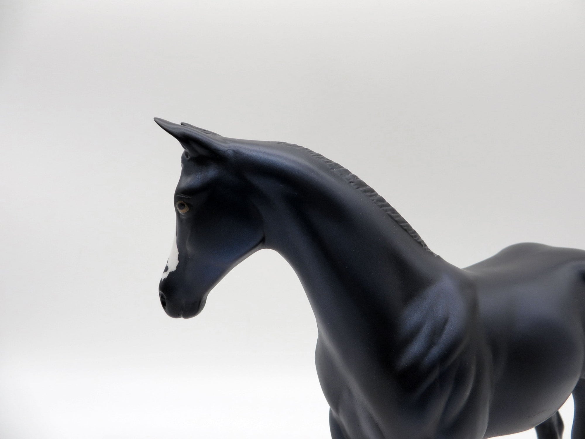 Squirtle-OOAK Black Weanling 5/11/21