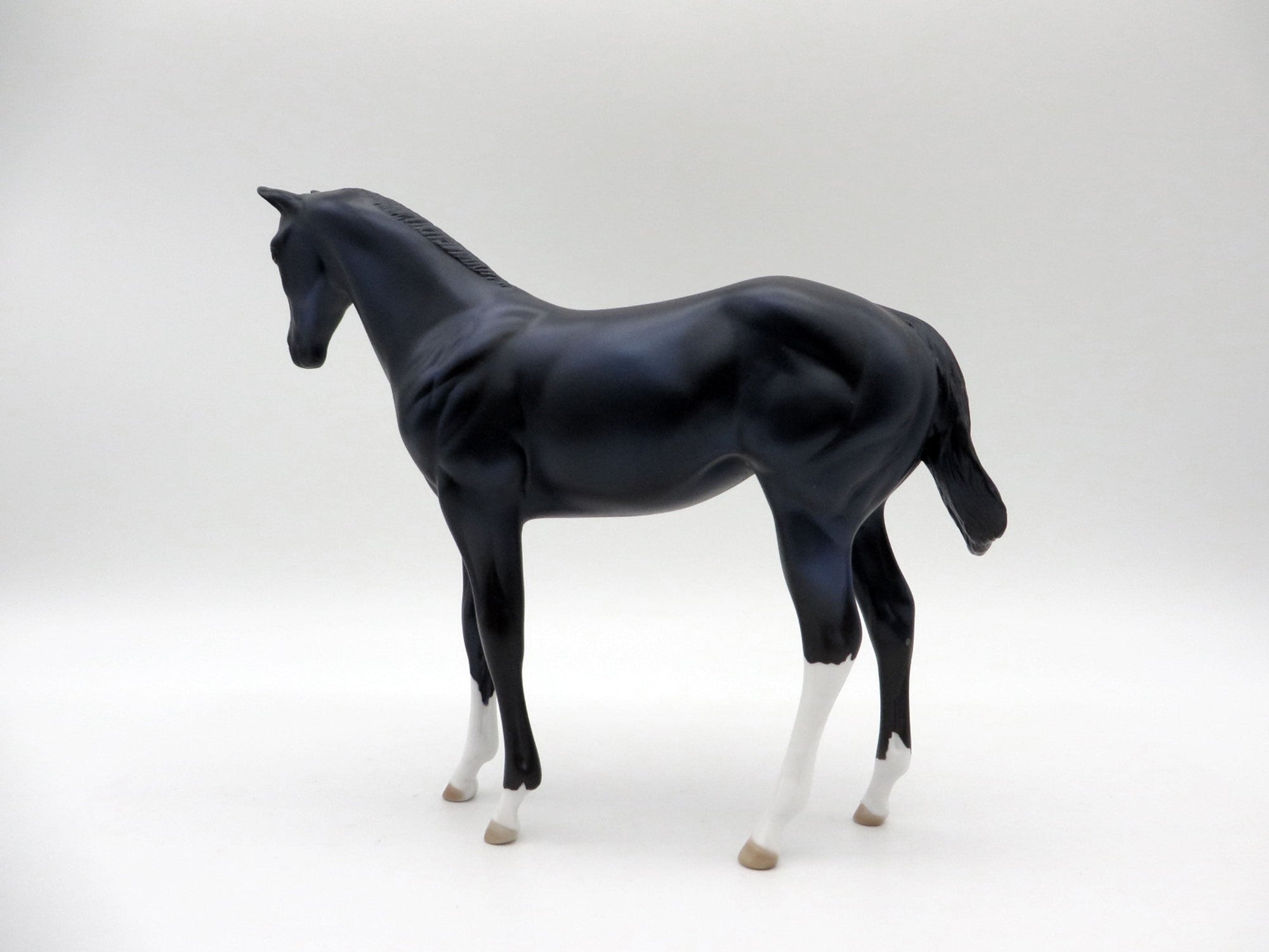 Squirtle-OOAK Black Weanling 5/11/21