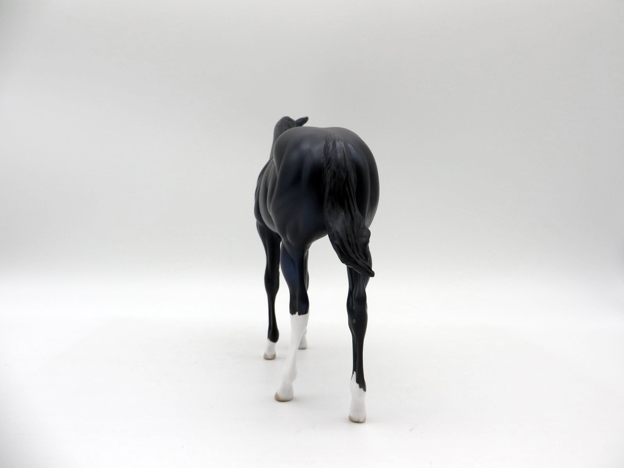 Squirtle-OOAK Black Weanling 5/11/21