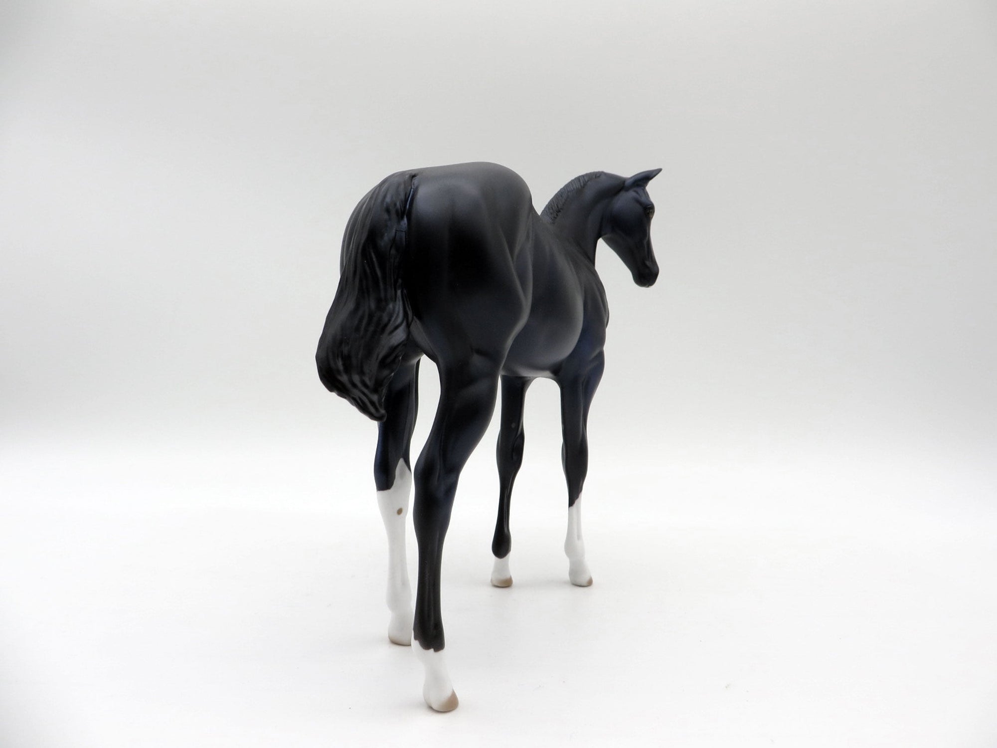 Squirtle-OOAK Black Weanling 5/11/21