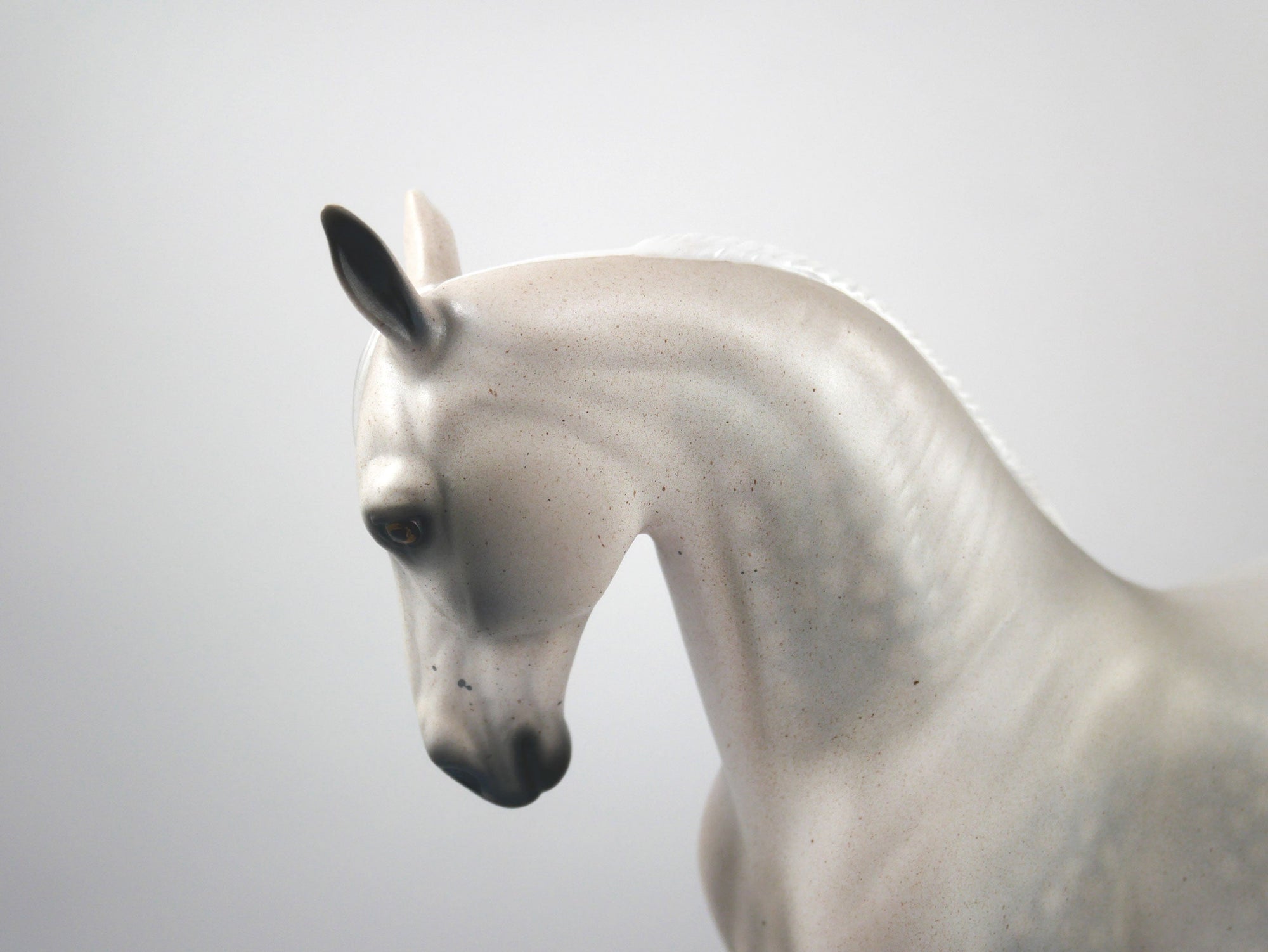 Stadium-OOAK Fleabit Andalusian Painted by Audrey Dixon SB21