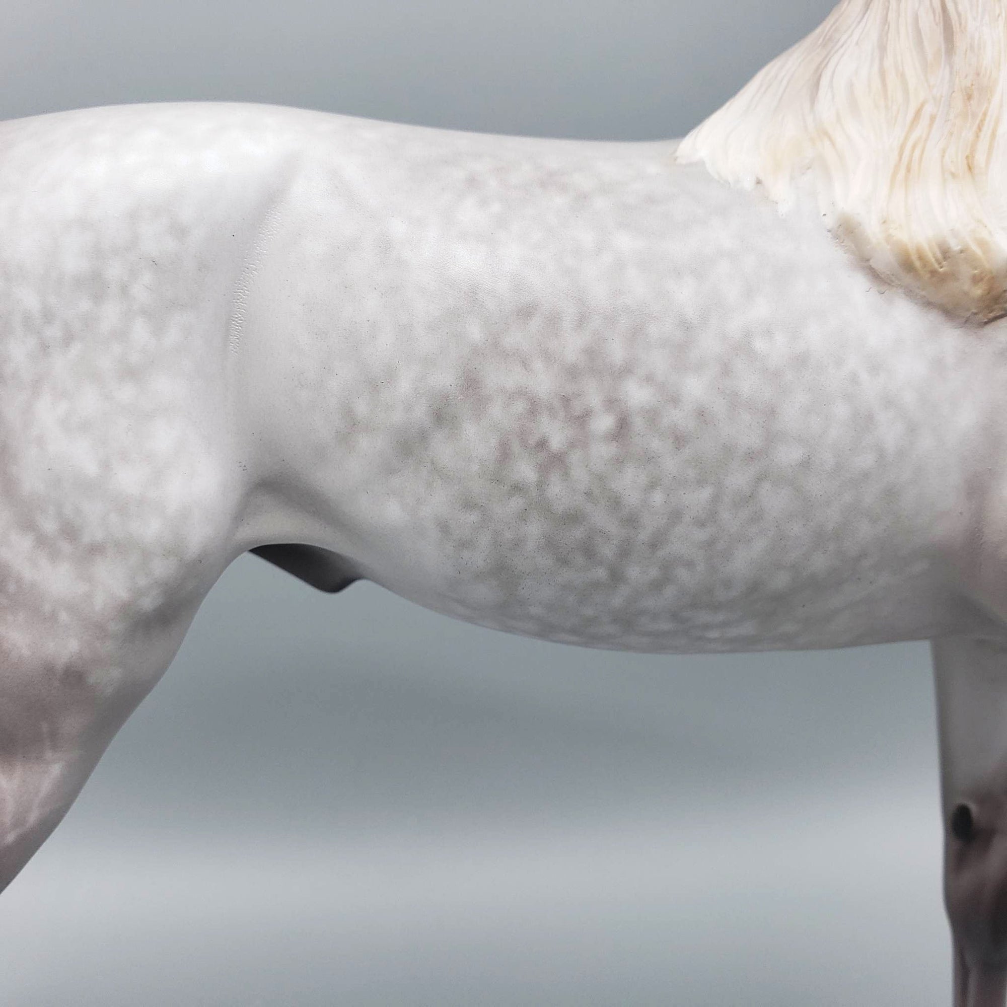 Stand Back - OOAK Dove Grey Dappled Arabian By Sheryl Leisure Offer 6/5/23