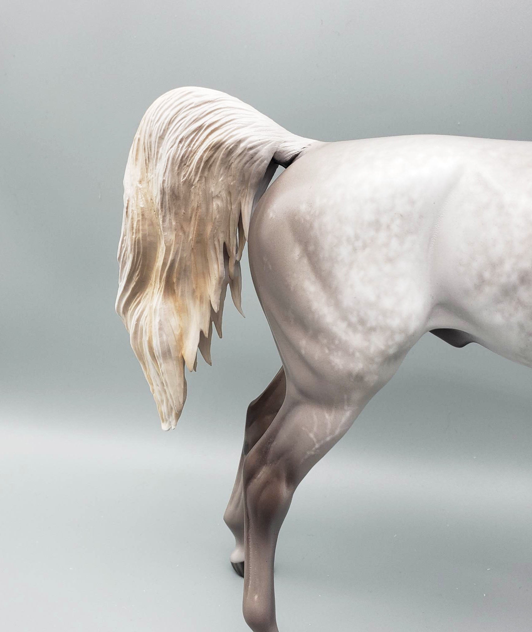 Stand Back - OOAK Dove Grey Dappled Arabian By Sheryl Leisure Offer 6/5/23